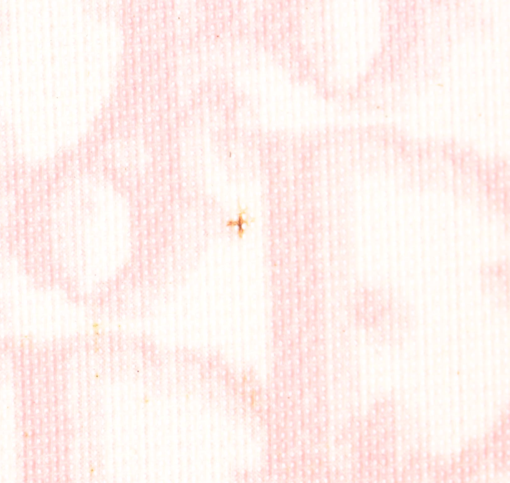 Christian Dior Trotter Zip Pouch in Monogram Coated Canvas and Leather Trim