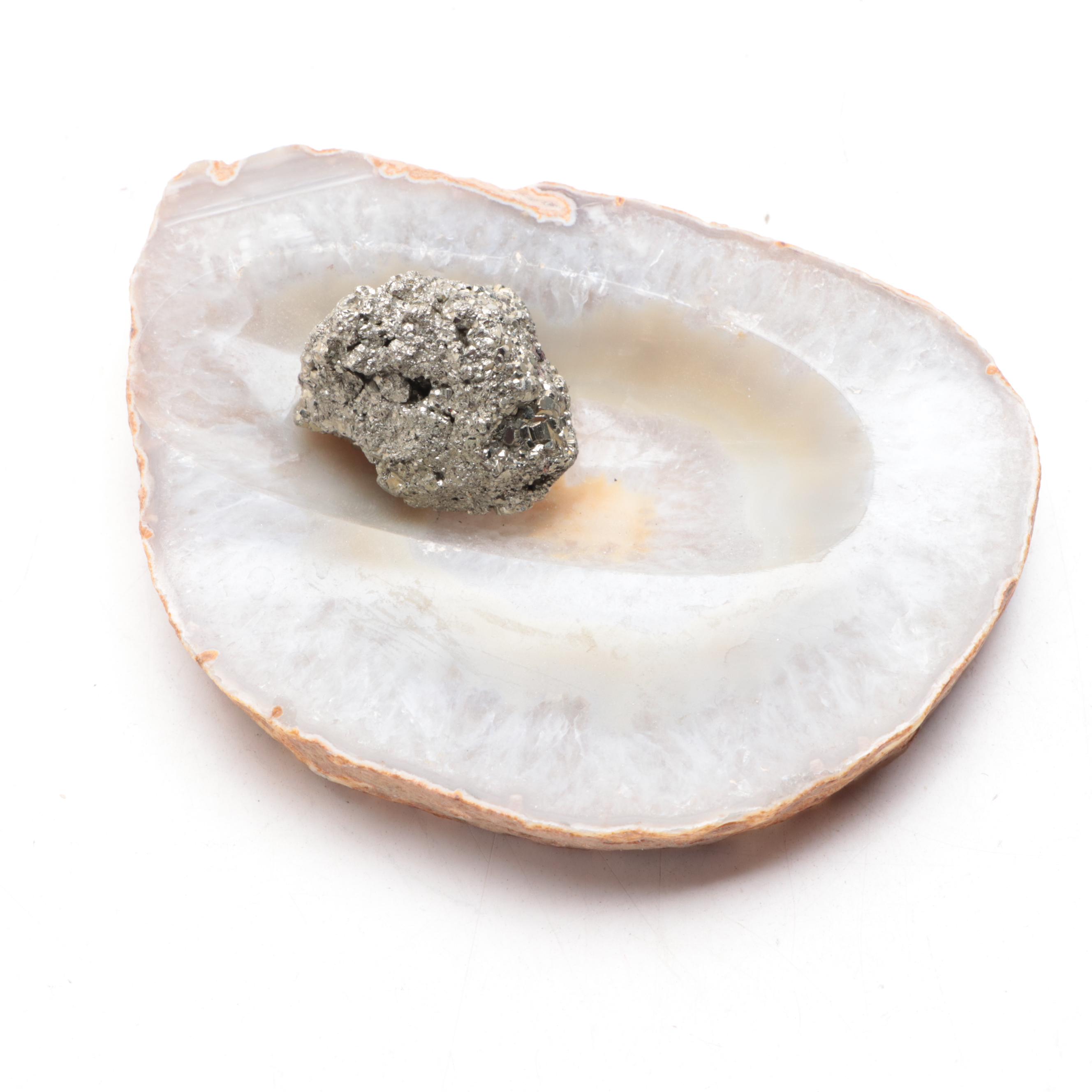 Petrified Wood Specimen With Geodes and Ammonite