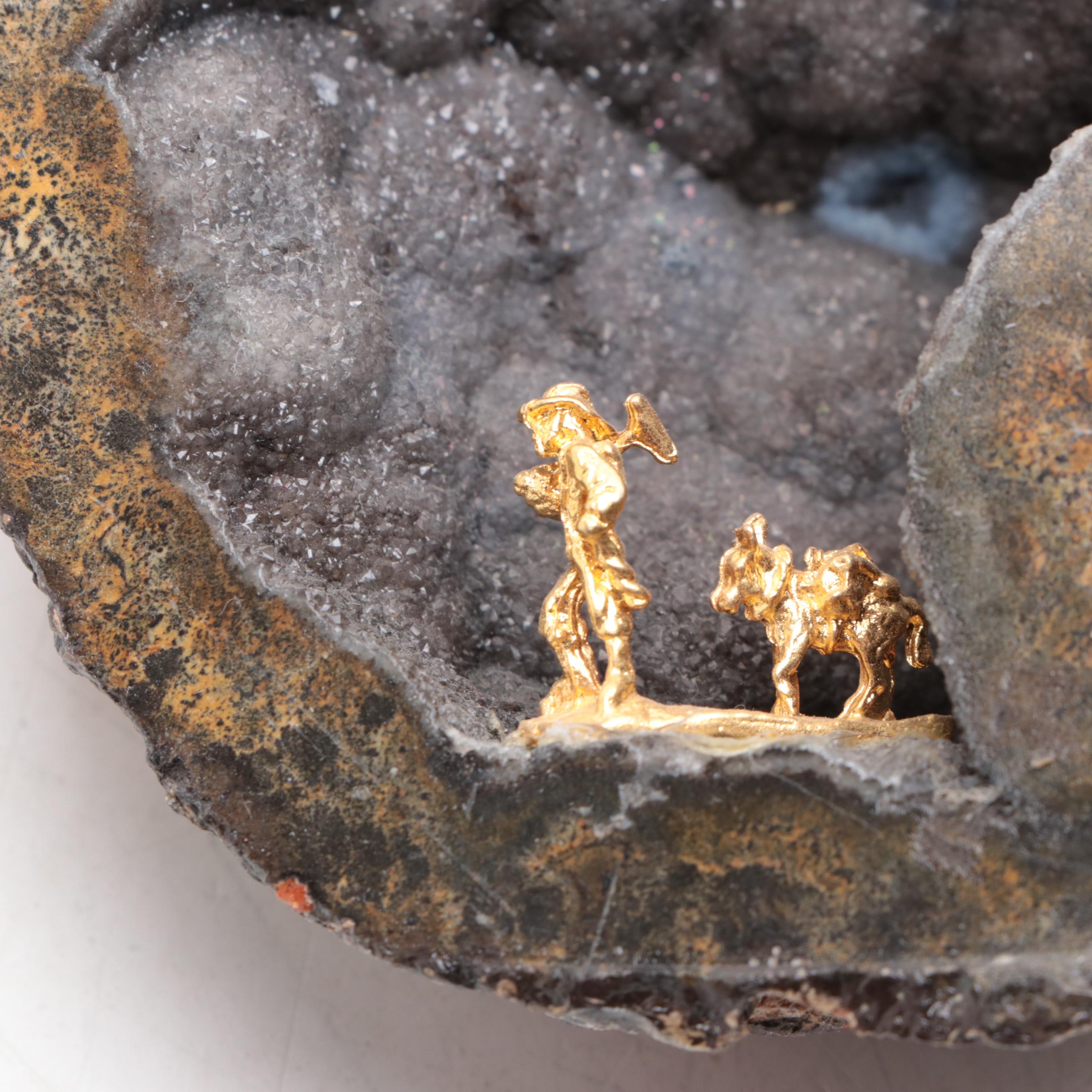 Petrified Wood Specimen With Geodes and Ammonite