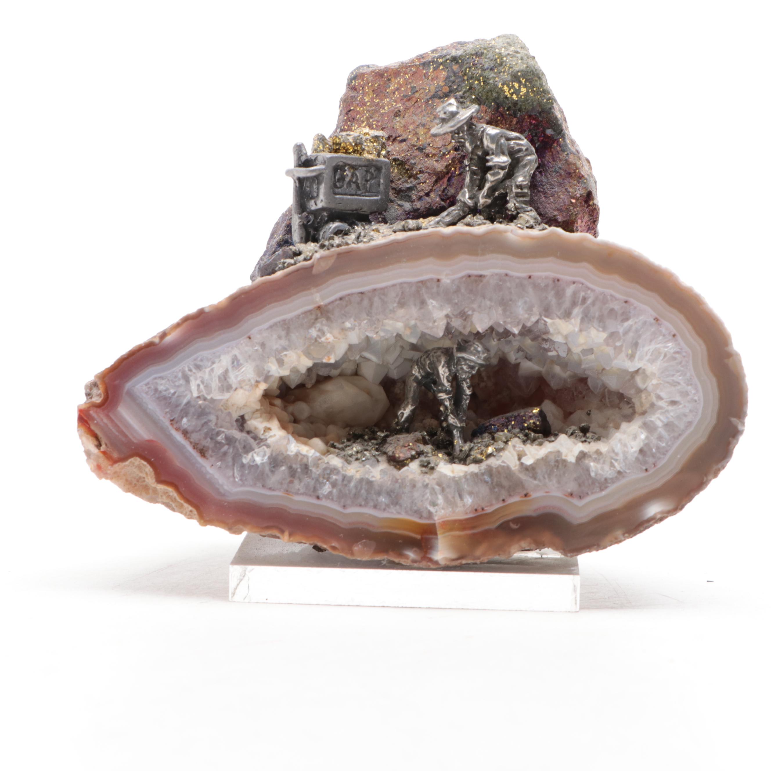 Petrified Wood Specimen With Geodes and Ammonite