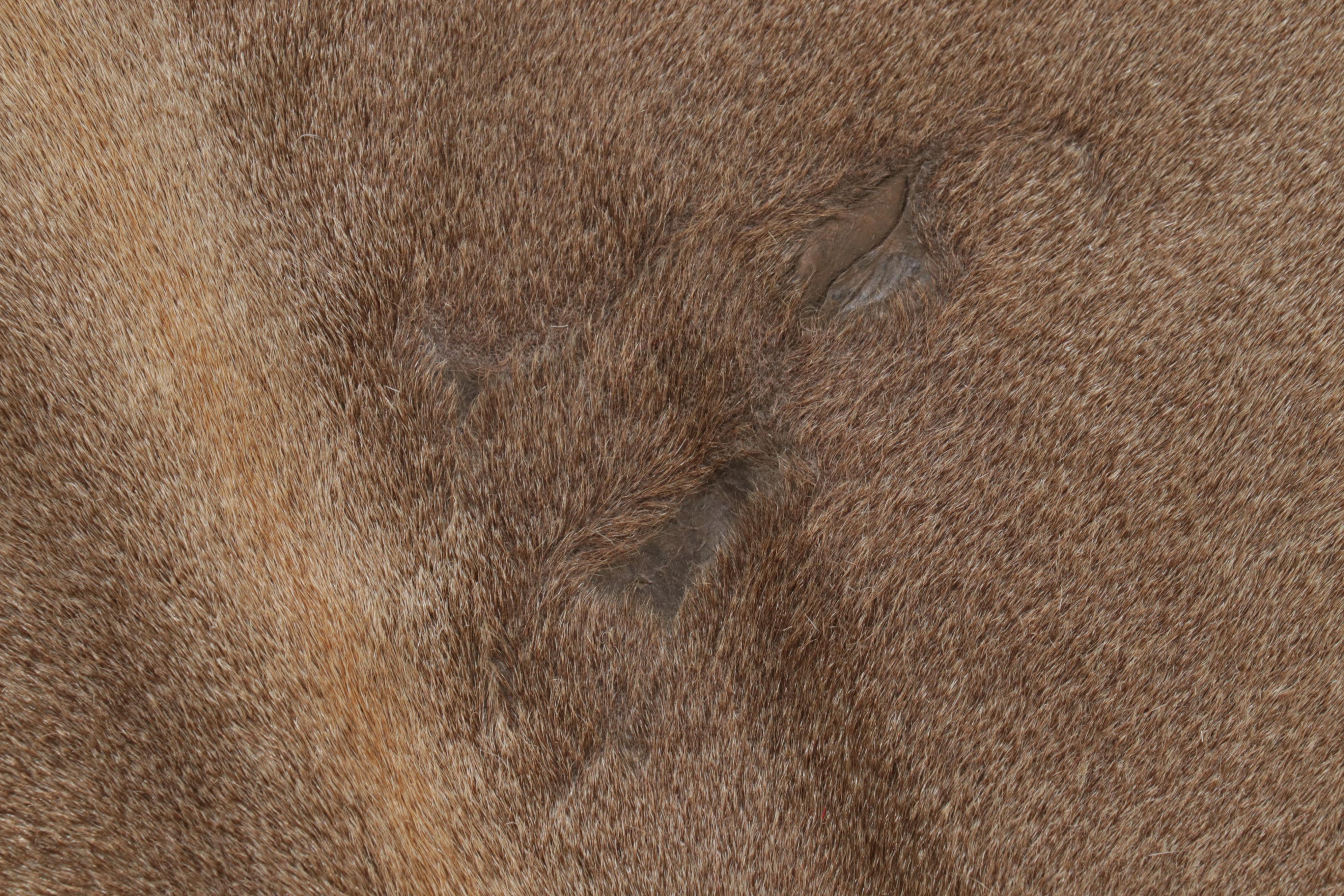 5'7 x 6'2 Cowhide Area Rug
