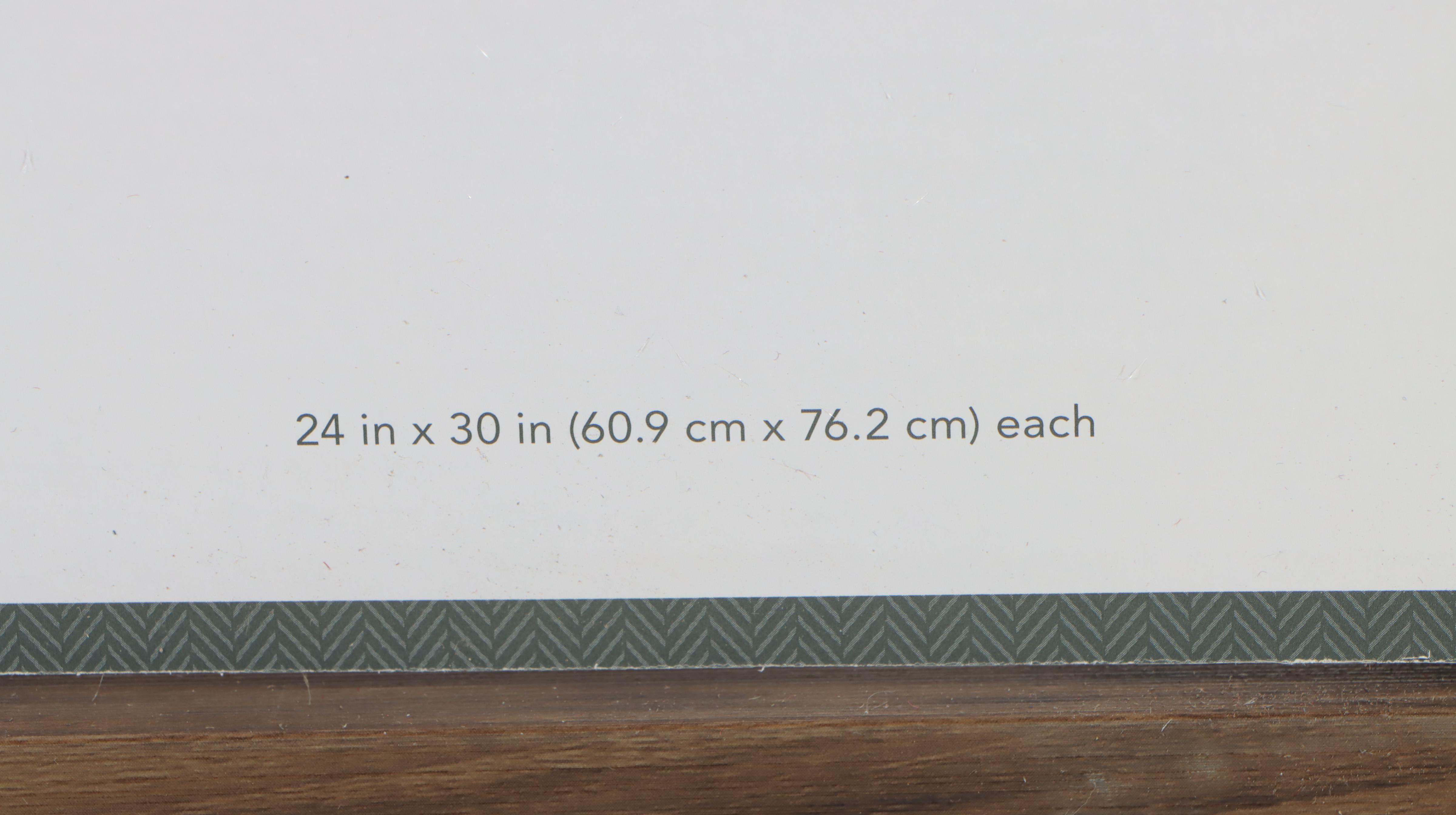 Threshold Botanicals Framed Digital Prints