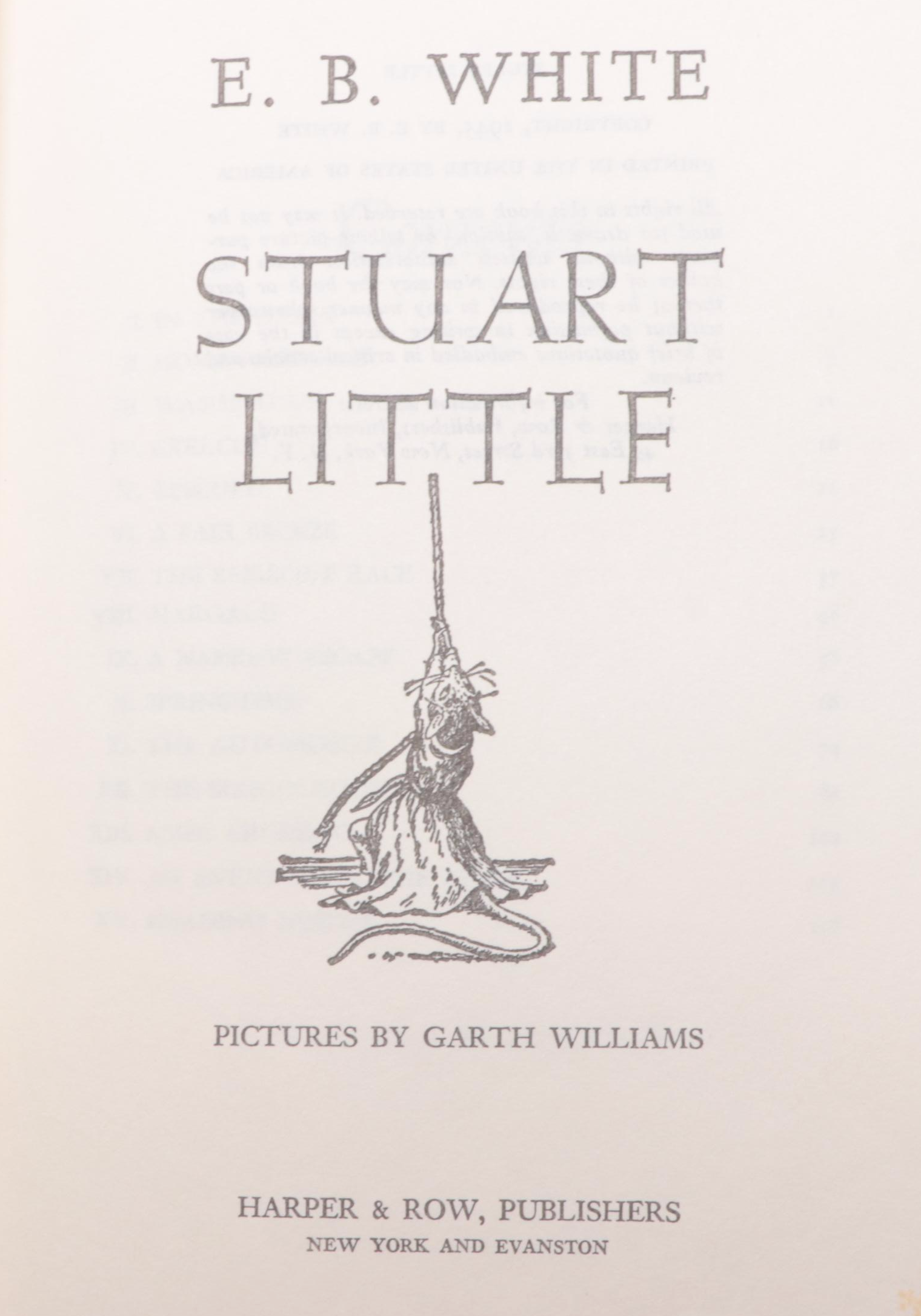 Illustrated "Stuart Little" by E. B. White and More Children's Books