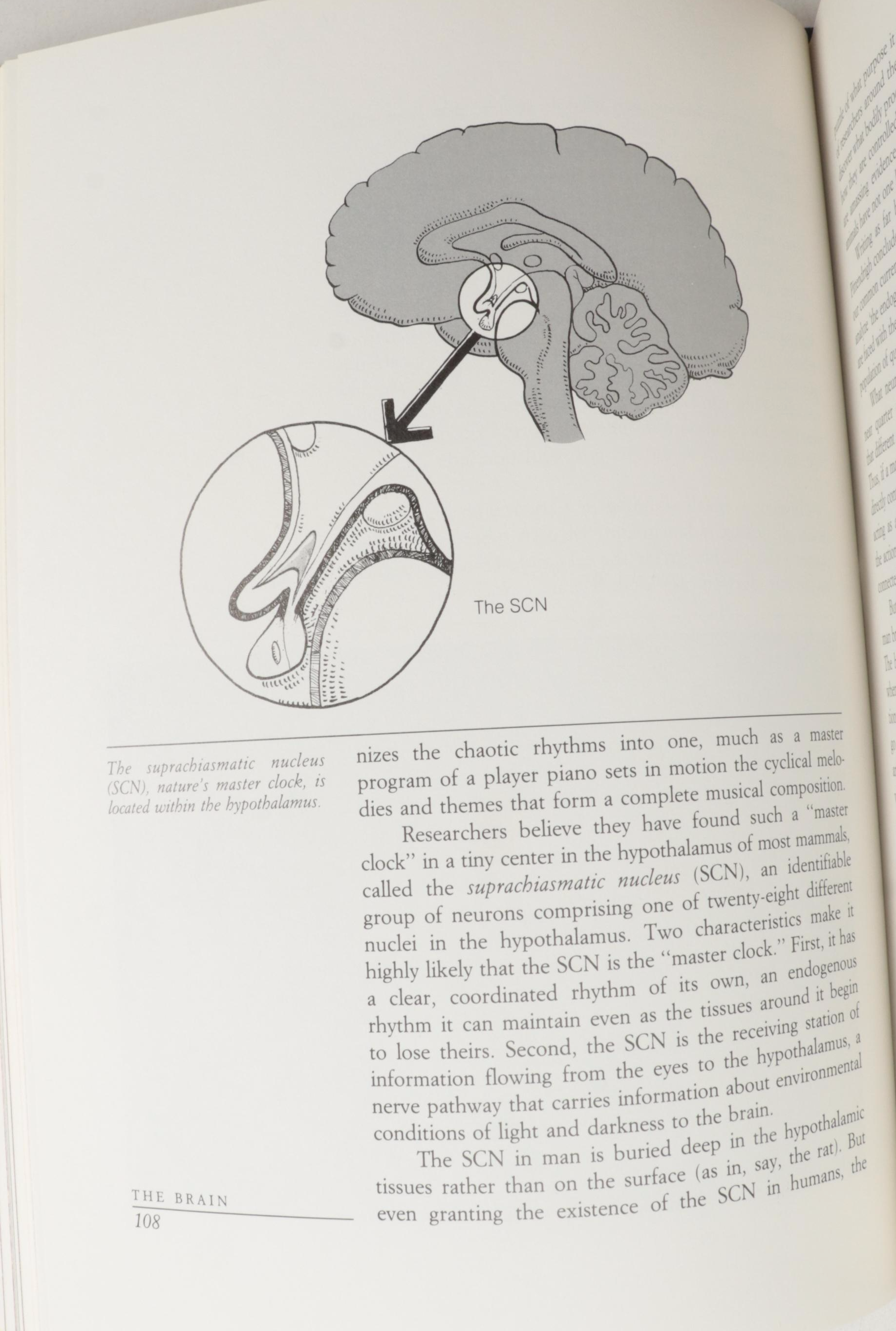 First American Edition "Moses and Monothesium" by Sigmund Freud and More