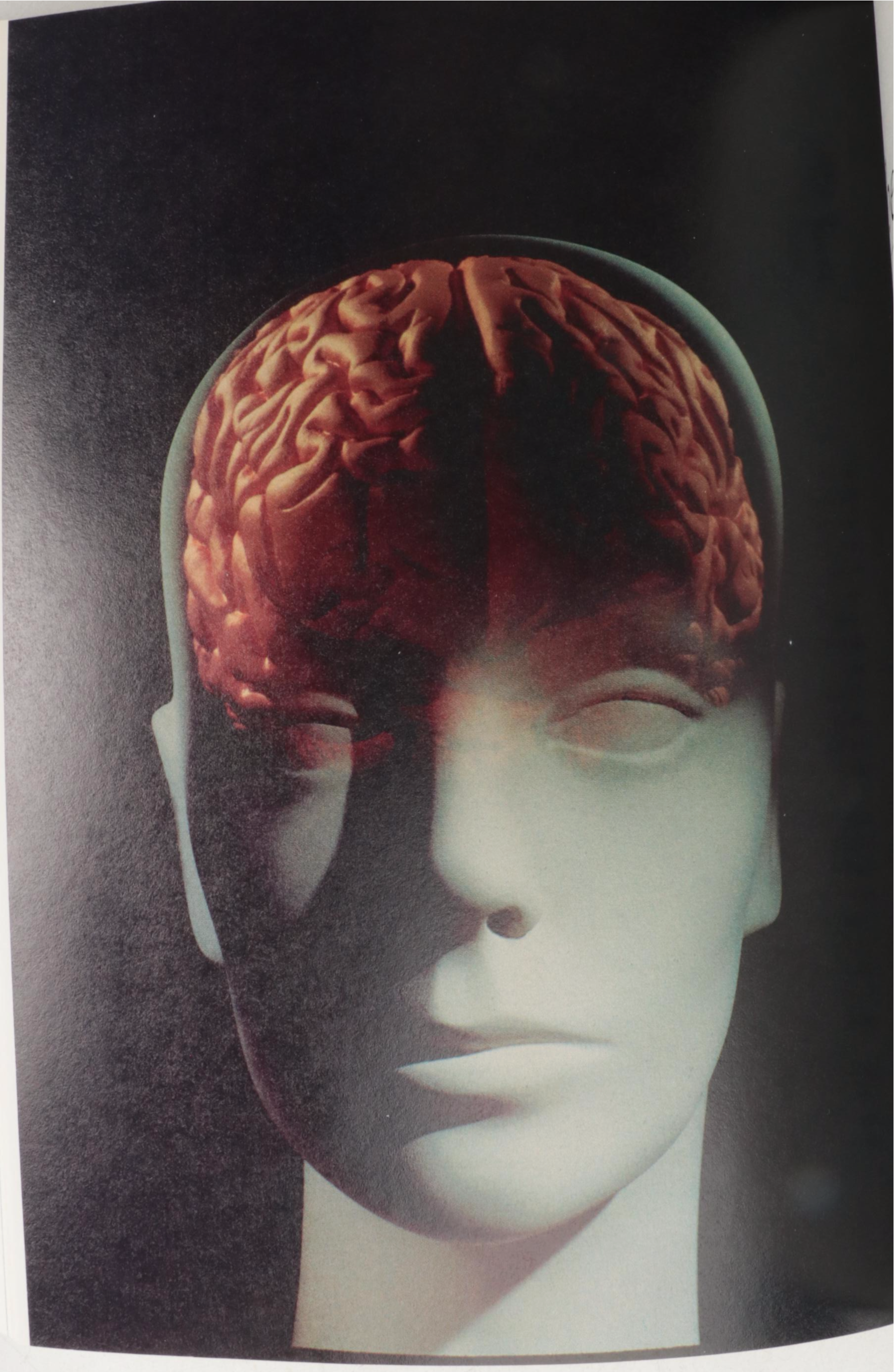 First American Edition "Moses and Monothesium" by Sigmund Freud and More