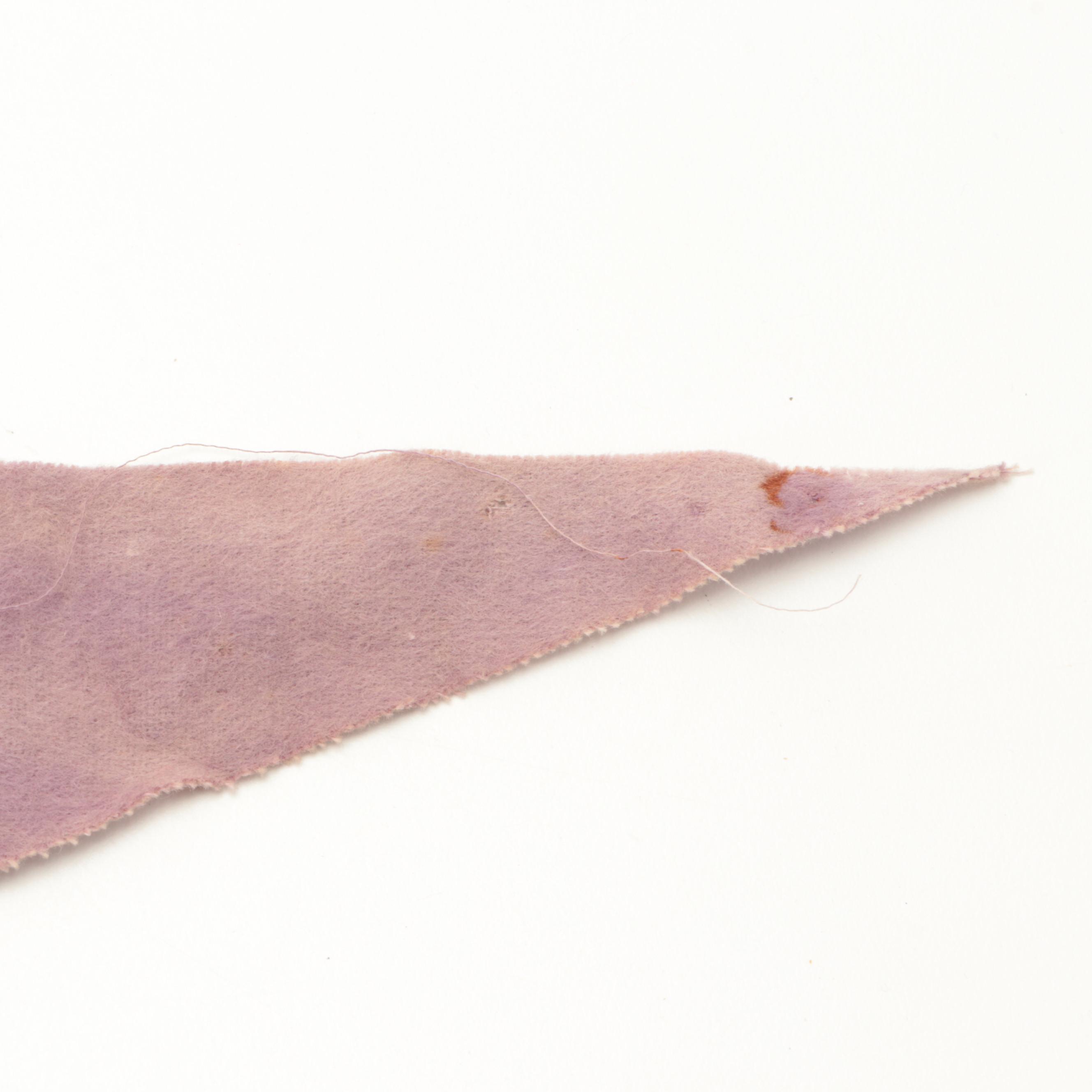 Minnesota Vikings Pennant with Pro Sports Marketing Helmet Radio, Late 20th C.