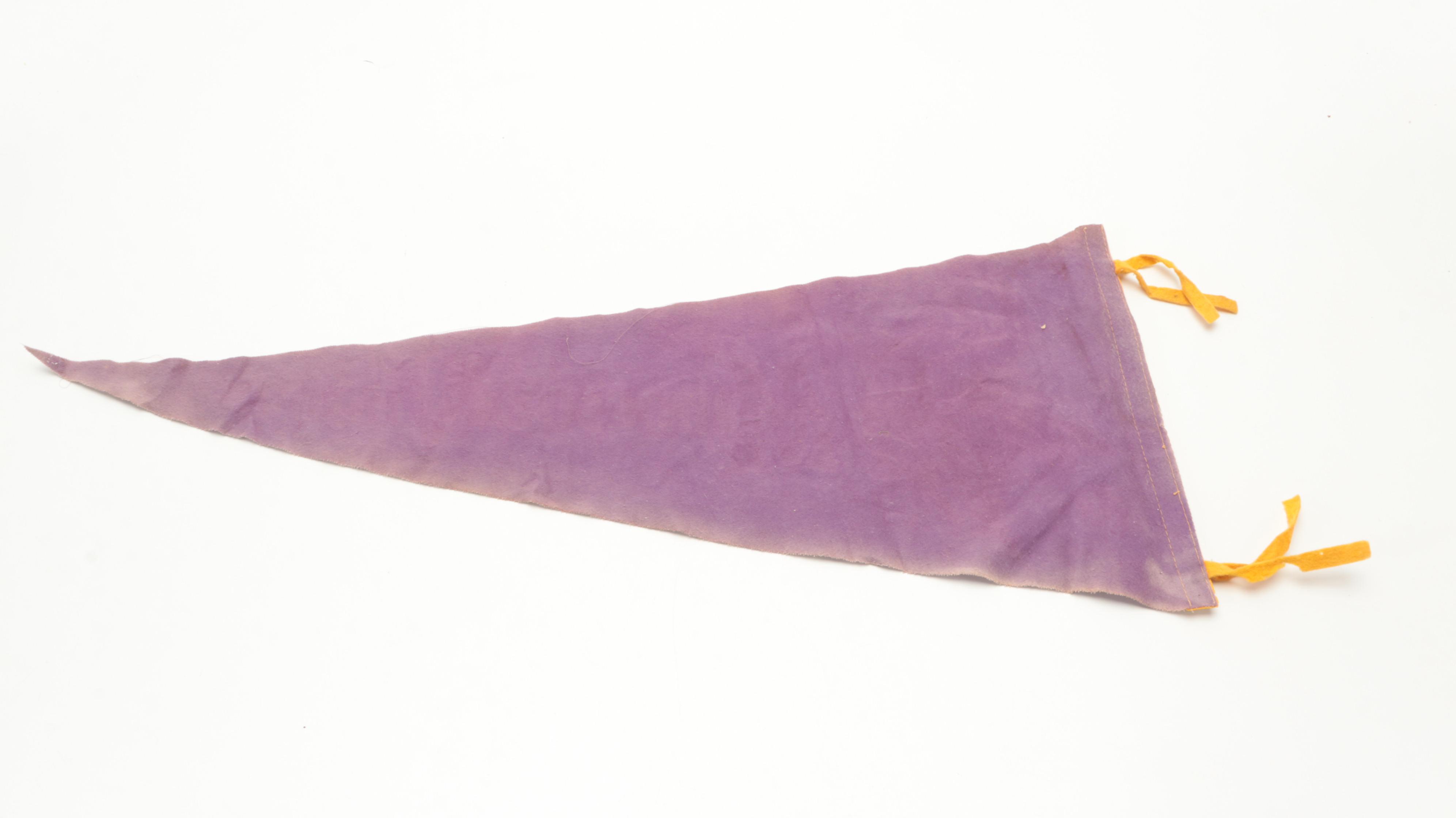 Minnesota Vikings Pennant with Pro Sports Marketing Helmet Radio, Late 20th C.