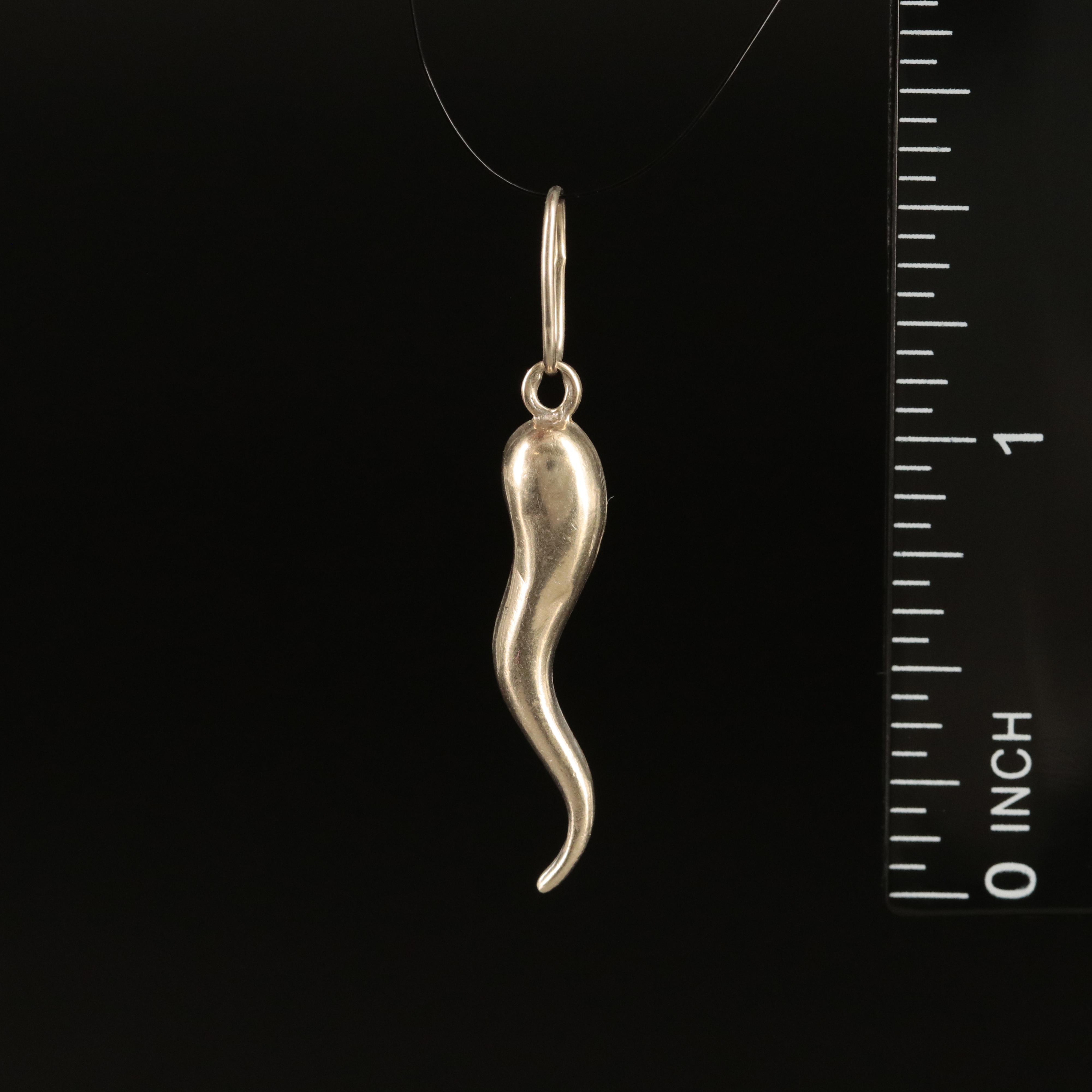 14K Cornicello Pendant