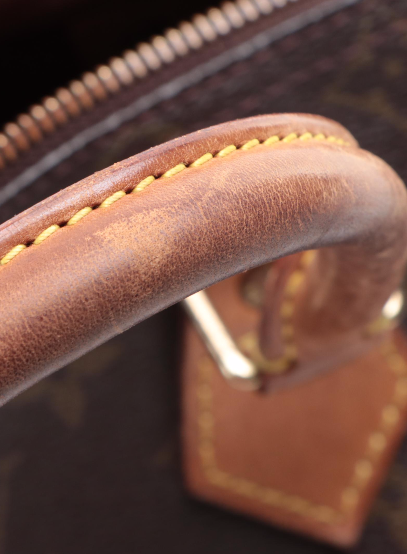 Louis Vuitton Speedy 25 in Monogram Canvas and Vanchetta Leather