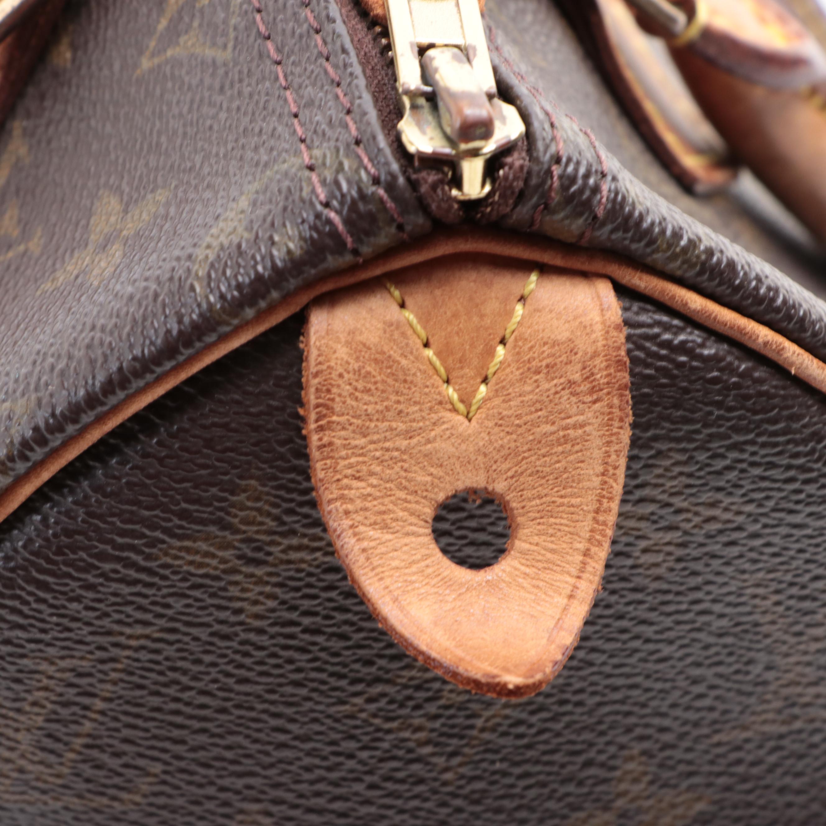 Louis Vuitton Speedy 25 in Monogram Canvas and Vanchetta Leather