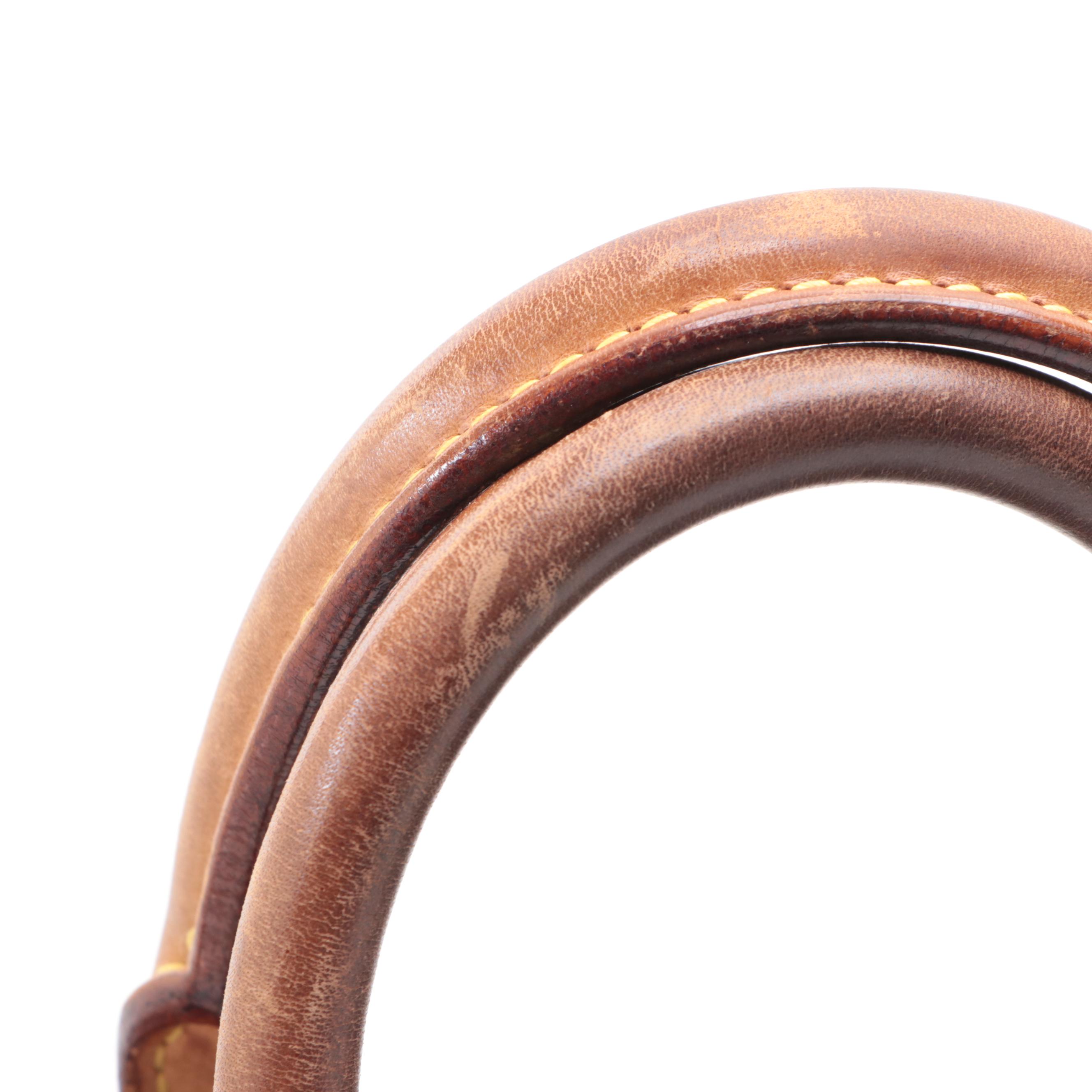 Louis Vuitton Speedy 25 in Monogram Canvas and Vanchetta Leather