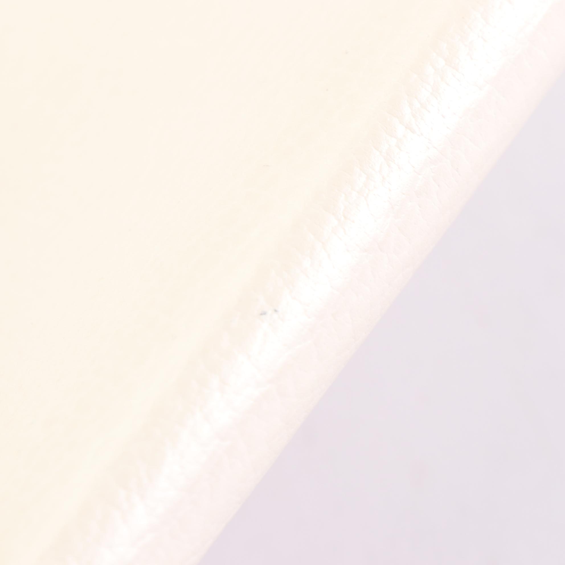 Louis Vuitton Agenda Fonctionnel PM Cover in Suhali and Smooth Leather