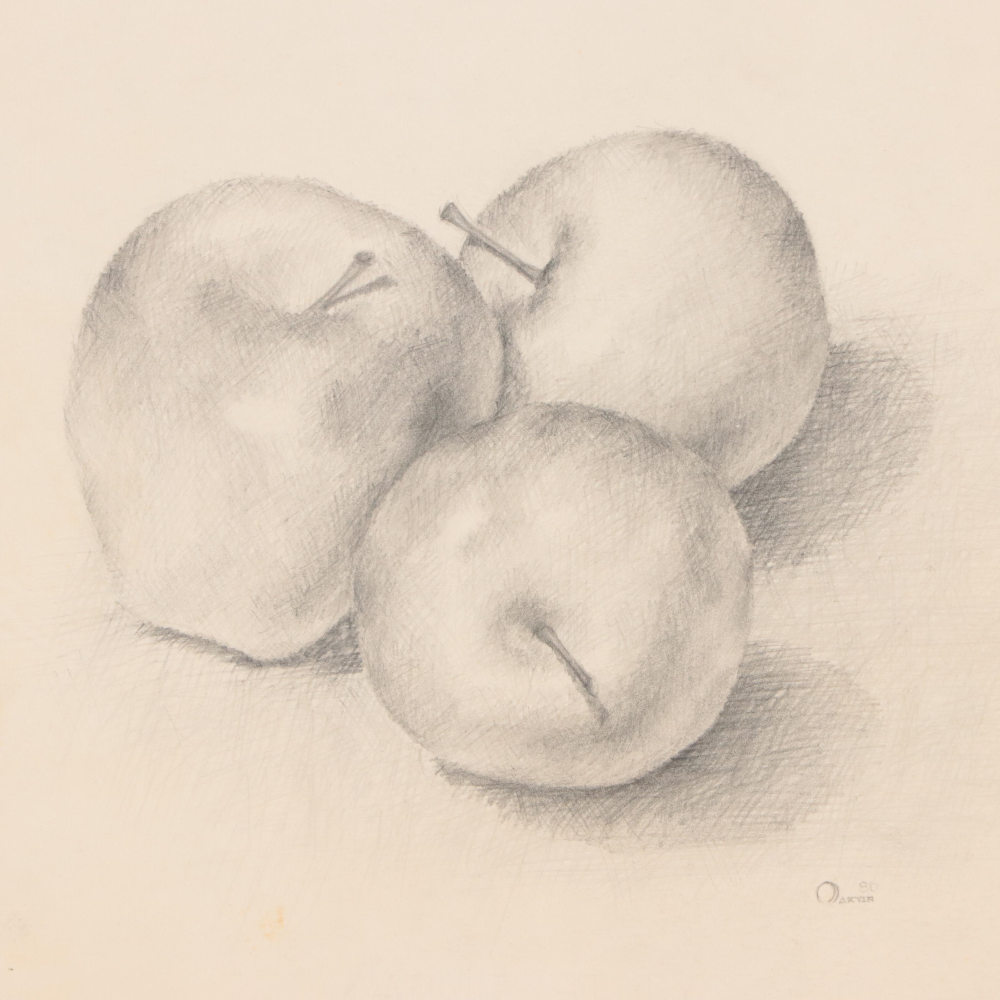 Still Life Graphite Drawing of Apples, 1980