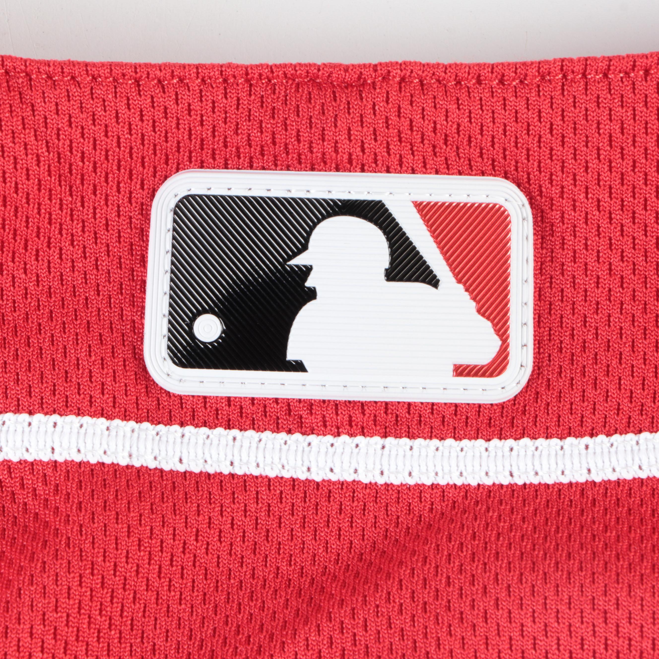 Freddie Benavides Cincinnati Reds MLB Game Used Baseball Jersey, 2019