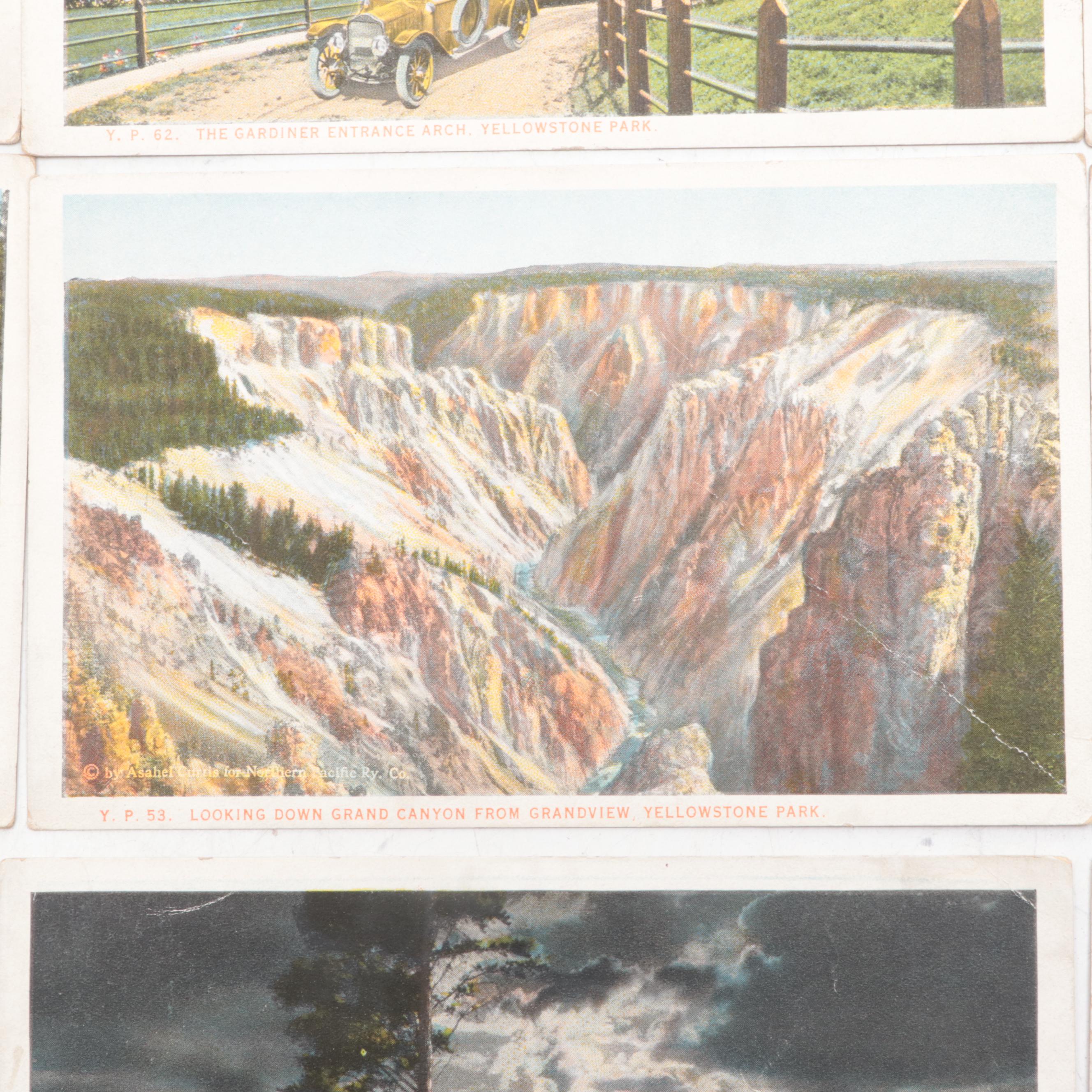 Bloom Brothers and Haynes Studio Yellowstone National Park Postcards