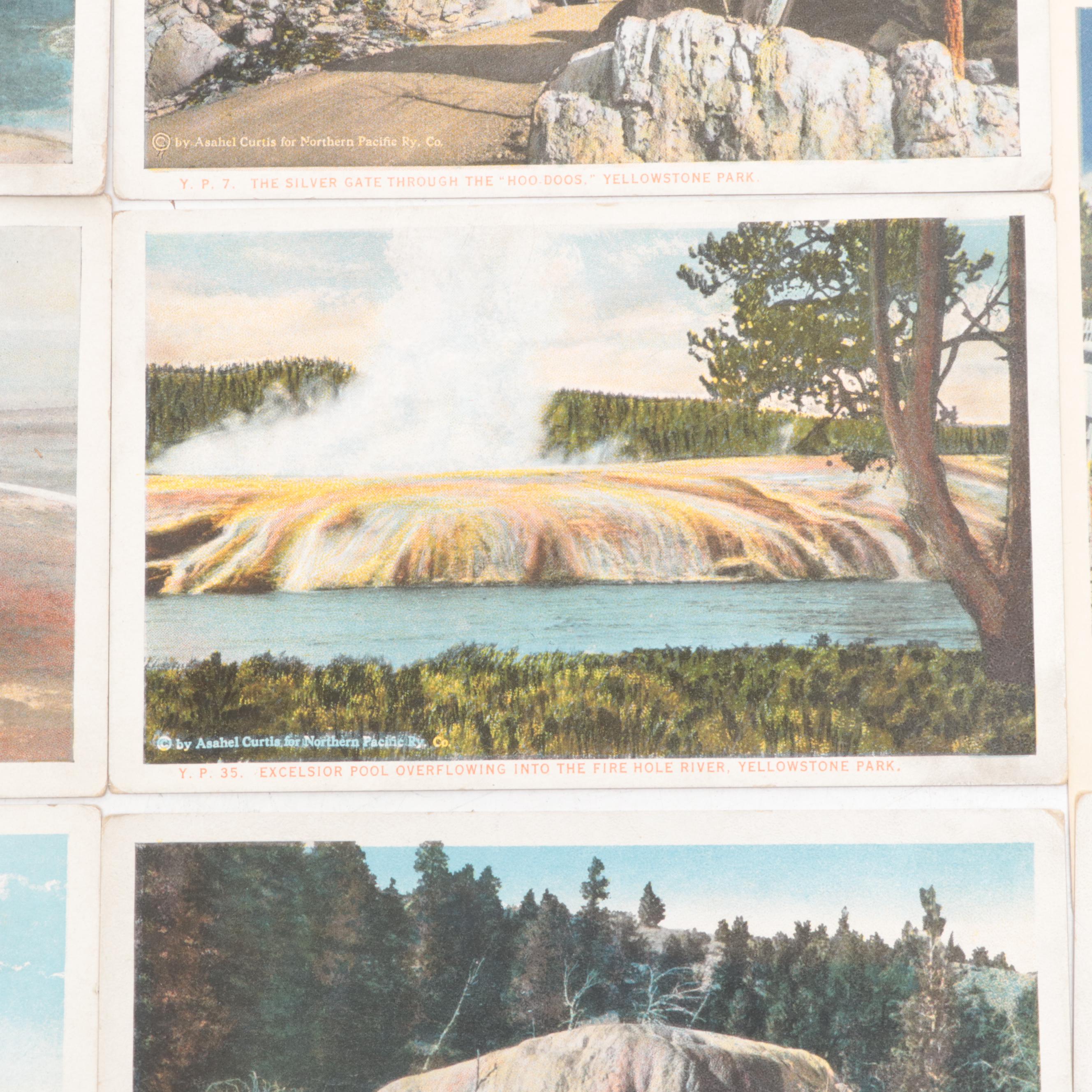 Bloom Brothers and Haynes Studio Yellowstone National Park Postcards