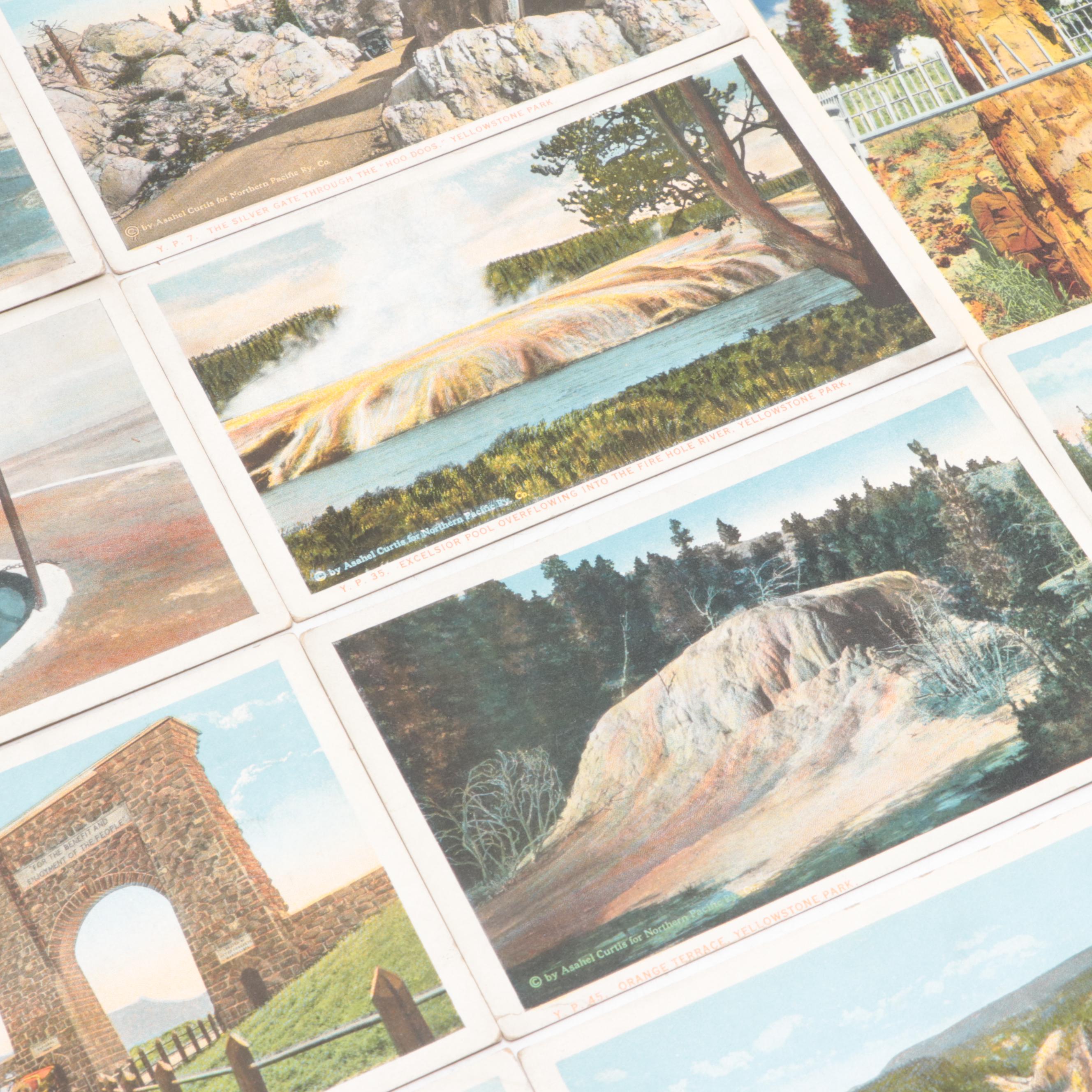 Bloom Brothers and Haynes Studio Yellowstone National Park Postcards
