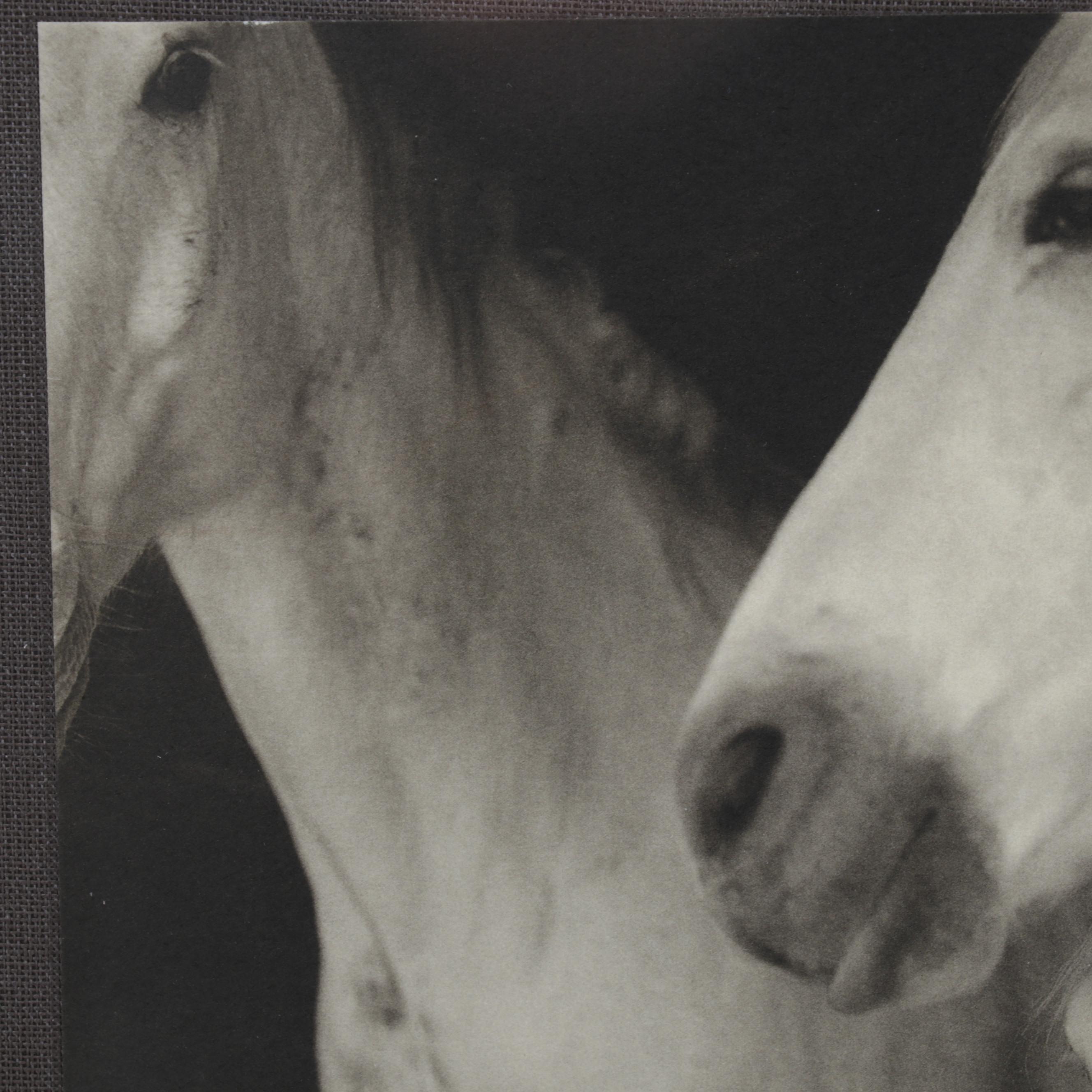 Keith Carter Photogravure "Caballos Blancos" for "21st Editions," 1998