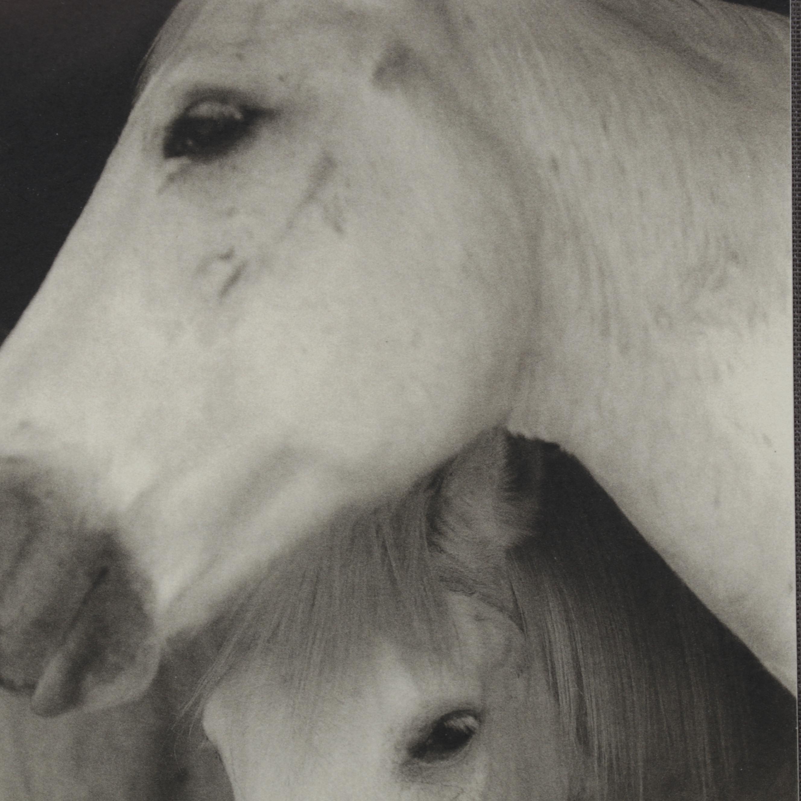 Keith Carter Photogravure "Caballos Blancos" for "21st Editions," 1998