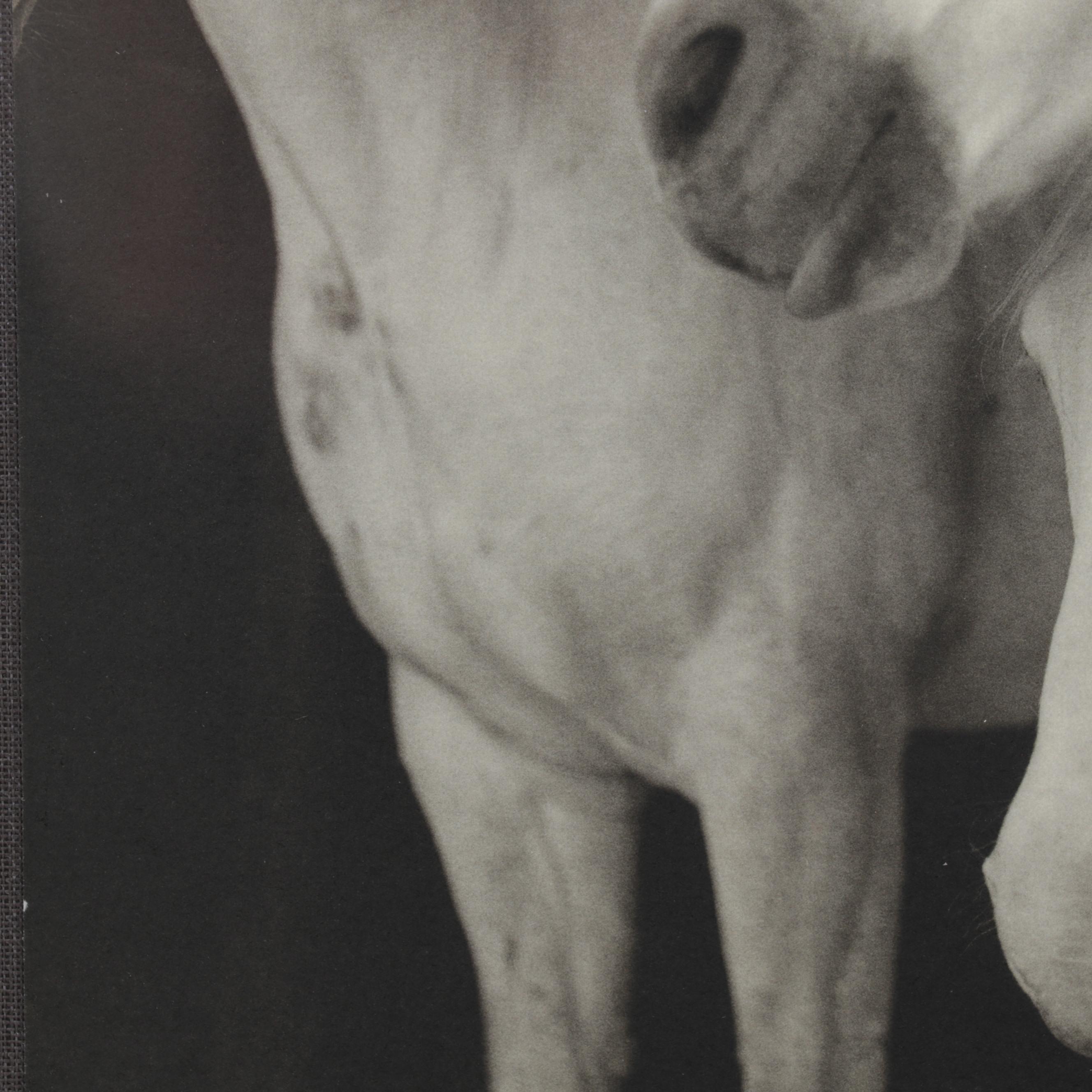 Keith Carter Photogravure "Caballos Blancos" for "21st Editions," 1998