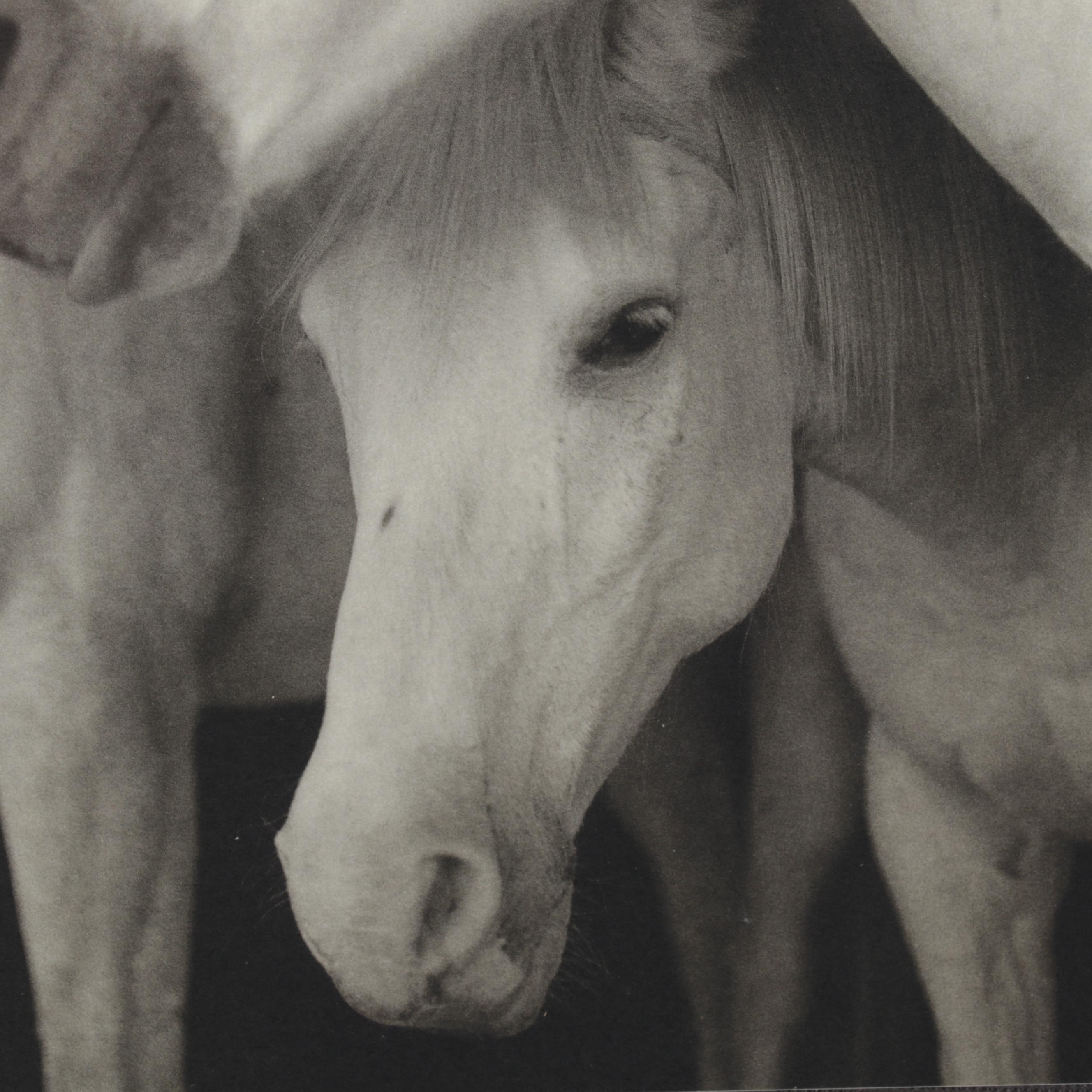Keith Carter Photogravure "Caballos Blancos" for "21st Editions," 1998