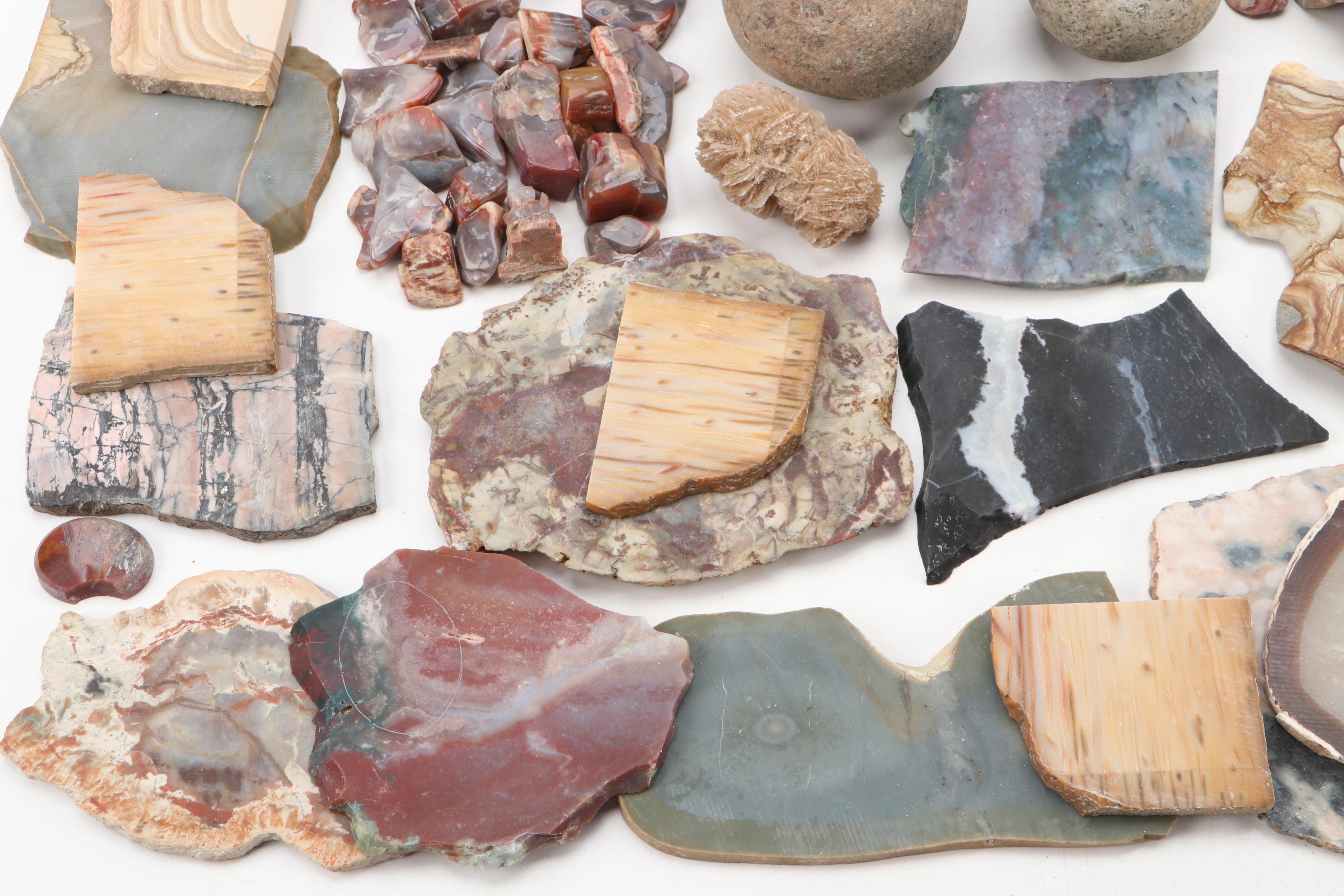 Agatized Wood, Petrified Wood, Geode, Amethyst, Quartz and Other Specimens