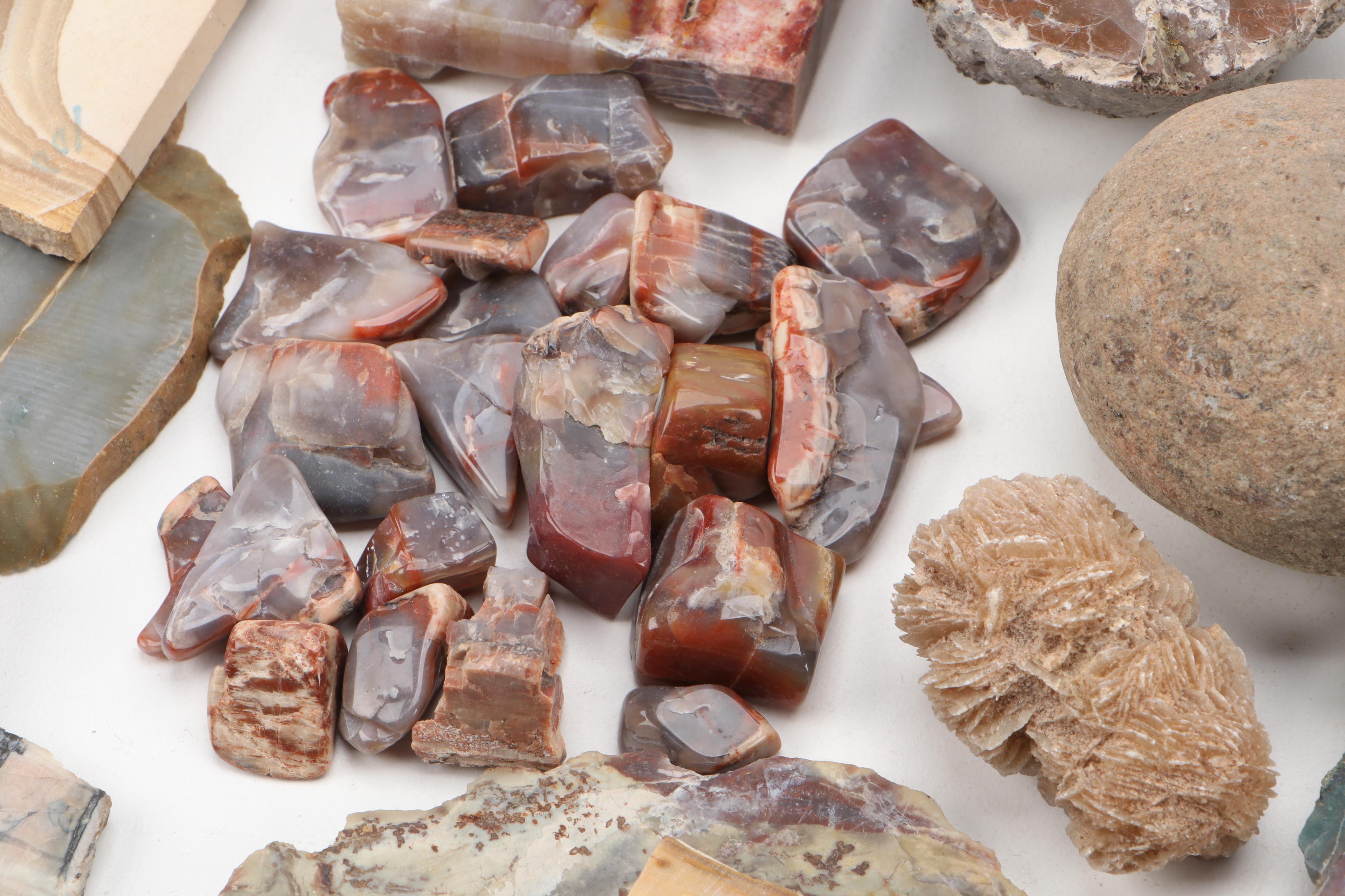 Agatized Wood, Petrified Wood, Geode, Amethyst, Quartz and Other Specimens