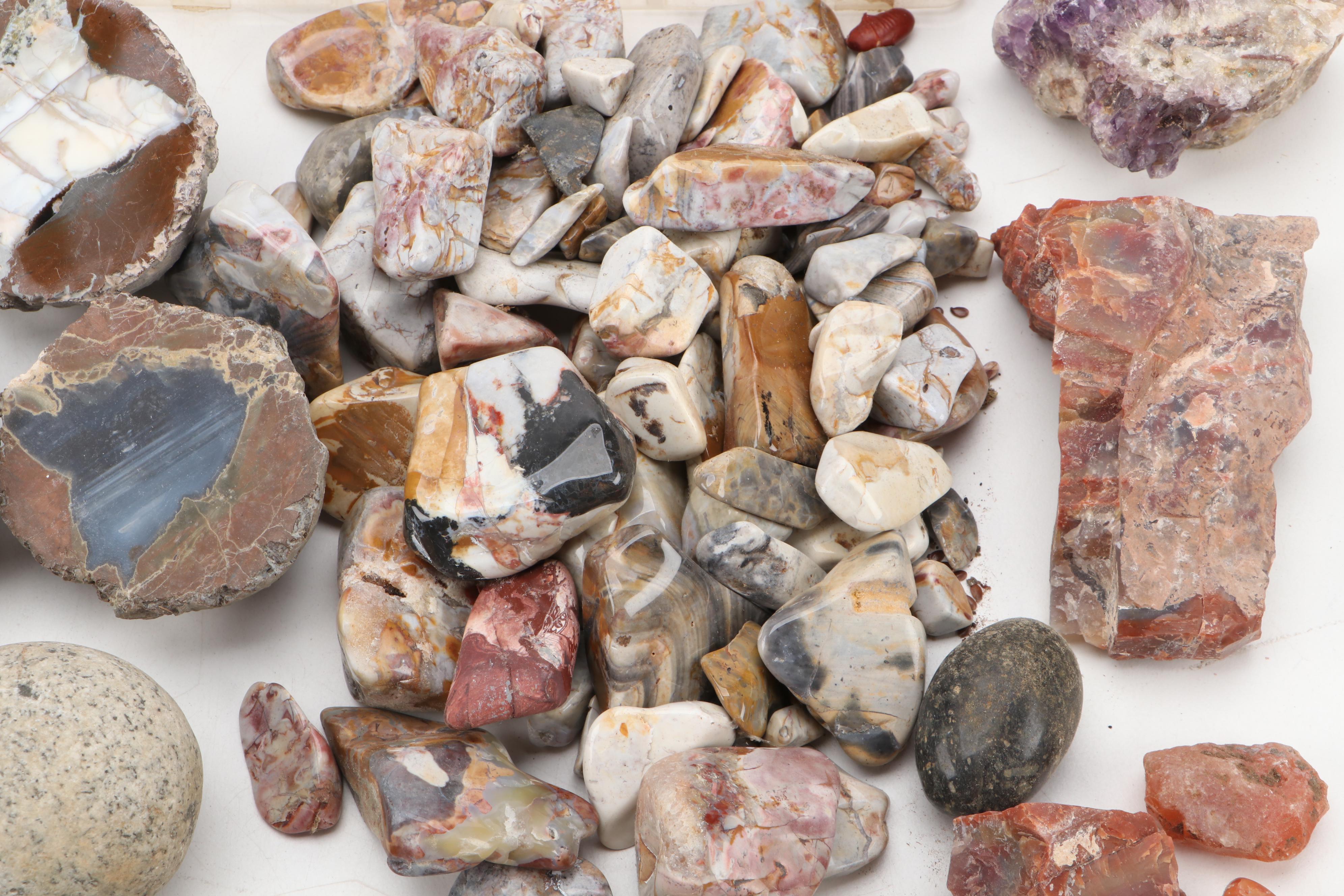 Agatized Wood, Petrified Wood, Geode, Amethyst, Quartz and Other Specimens