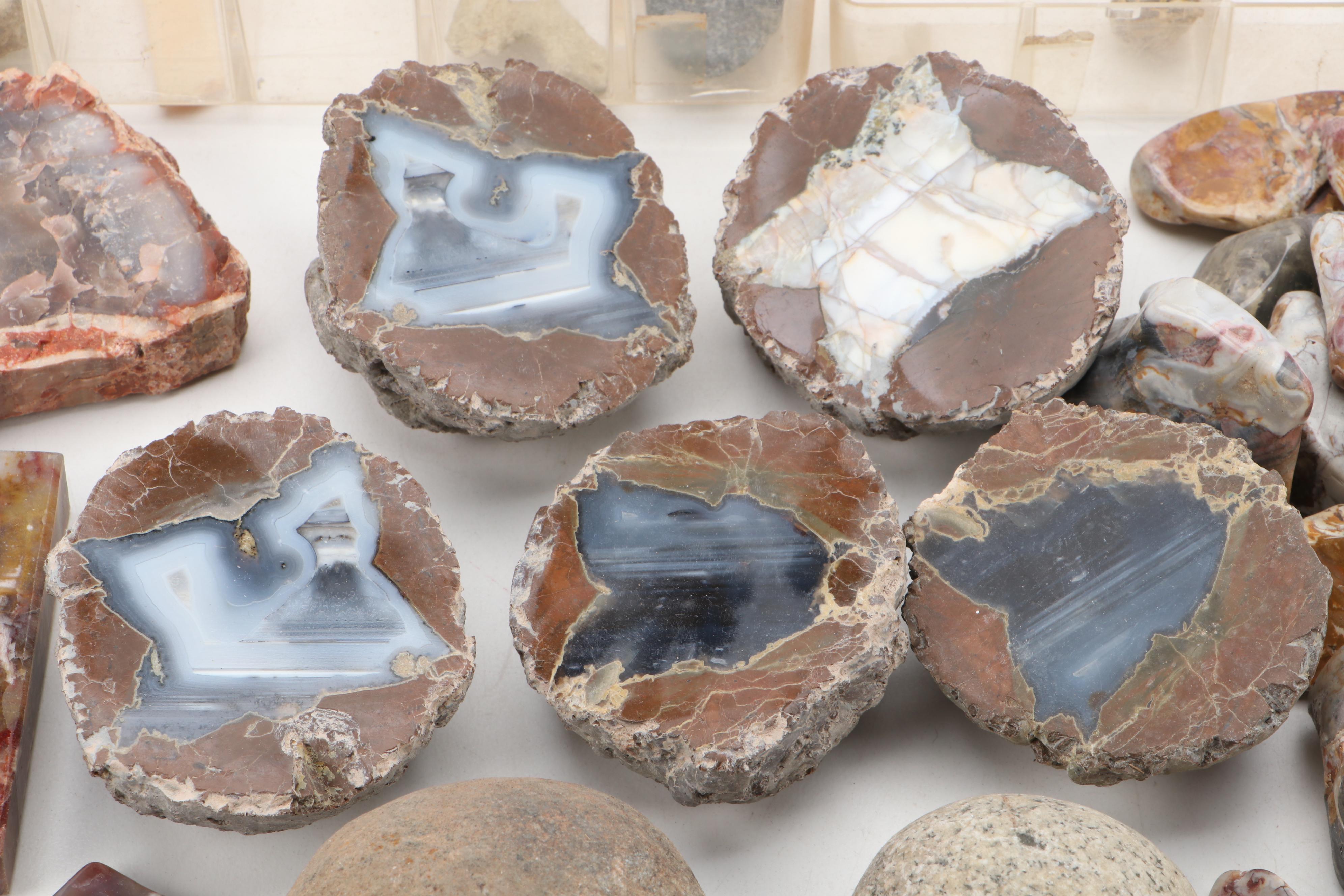 Agatized Wood, Petrified Wood, Geode, Amethyst, Quartz and Other Specimens