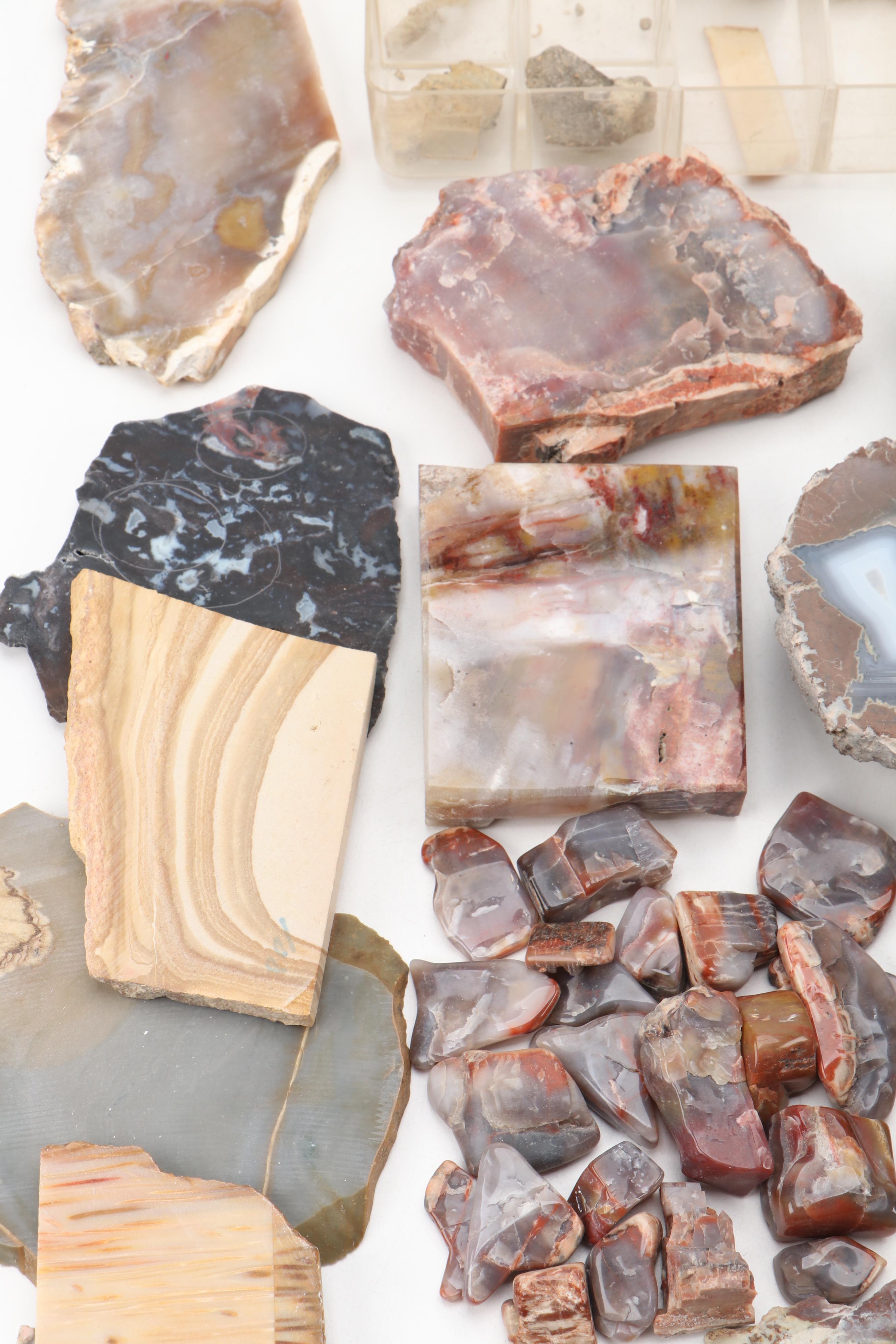 Agatized Wood, Petrified Wood, Geode, Amethyst, Quartz and Other Specimens