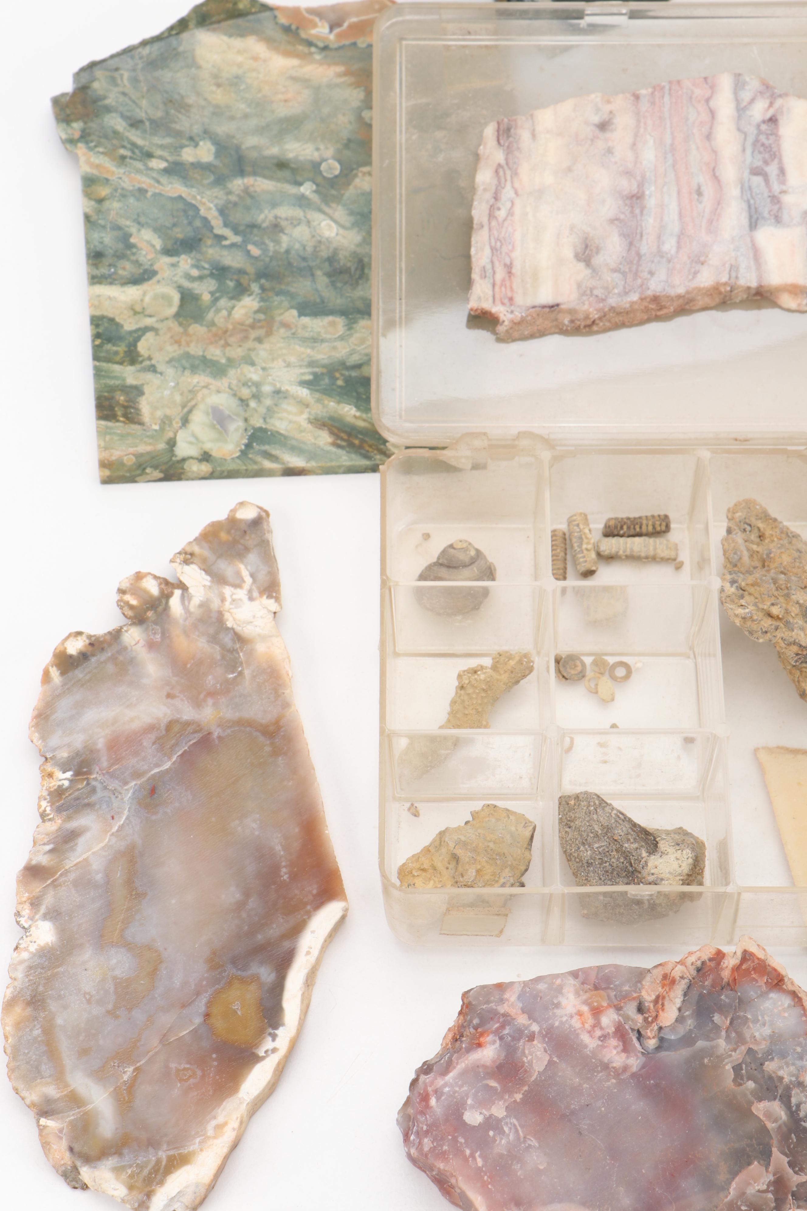 Agatized Wood, Petrified Wood, Geode, Amethyst, Quartz and Other Specimens