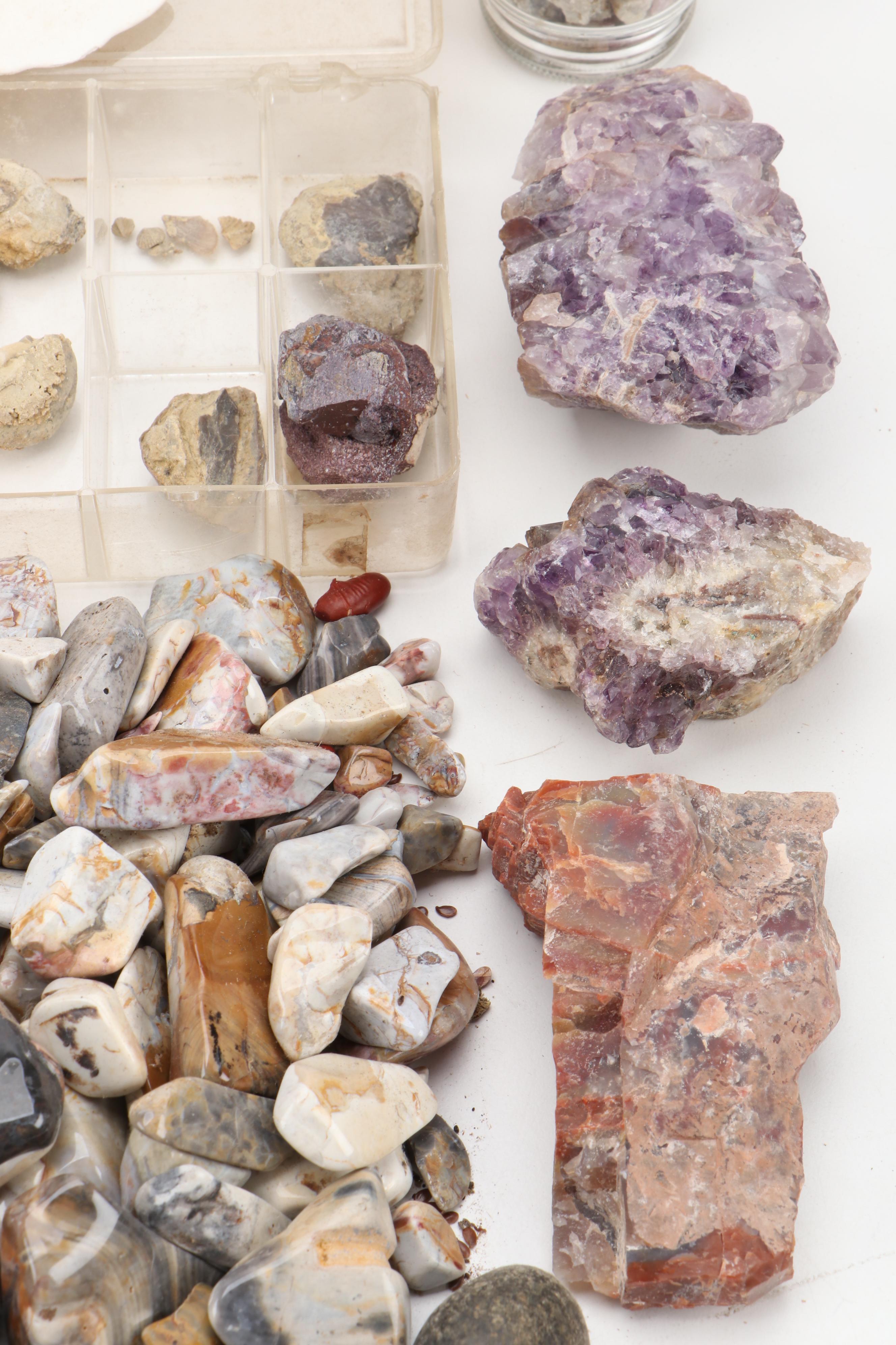 Agatized Wood, Petrified Wood, Geode, Amethyst, Quartz and Other Specimens