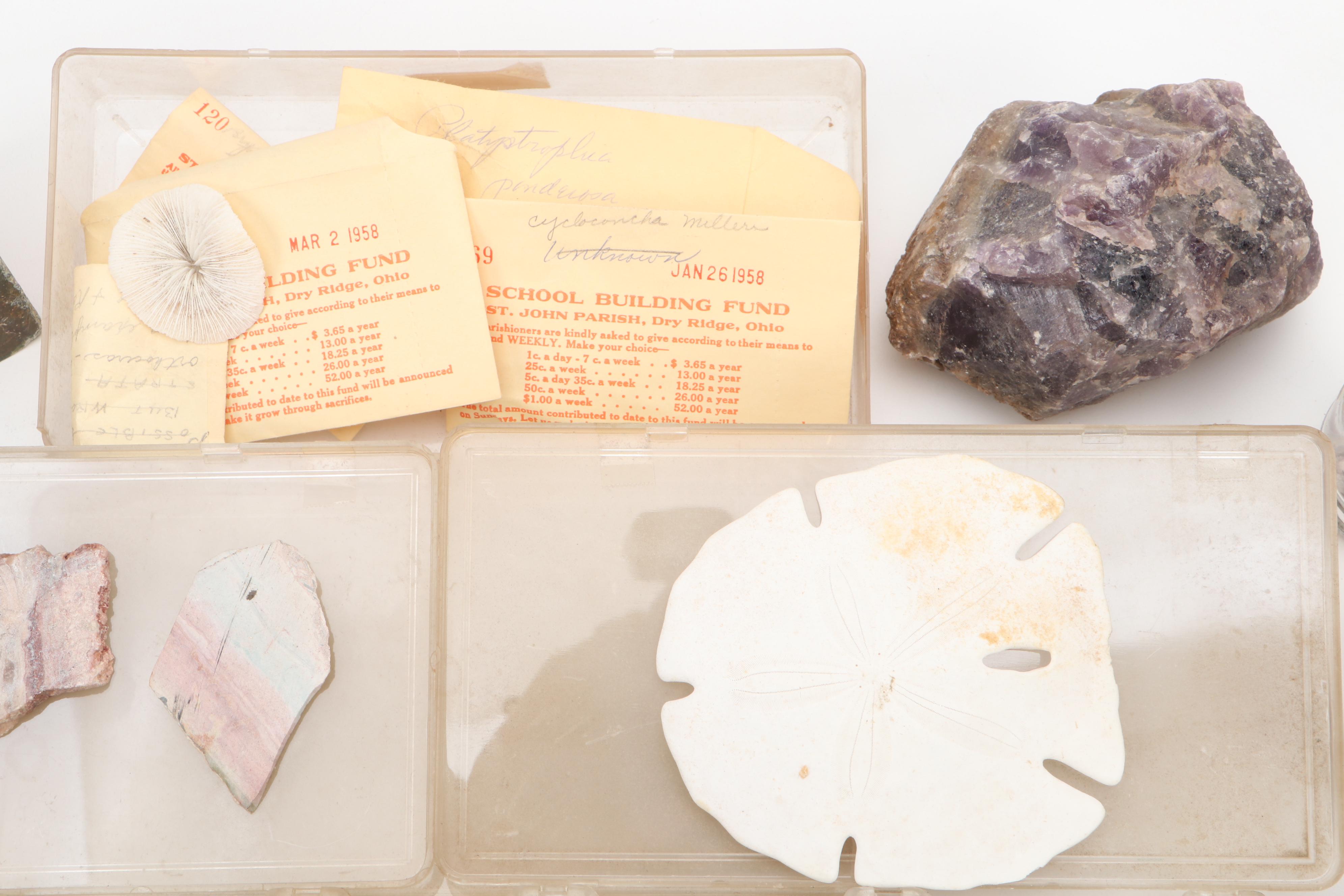 Agatized Wood, Petrified Wood, Geode, Amethyst, Quartz and Other Specimens