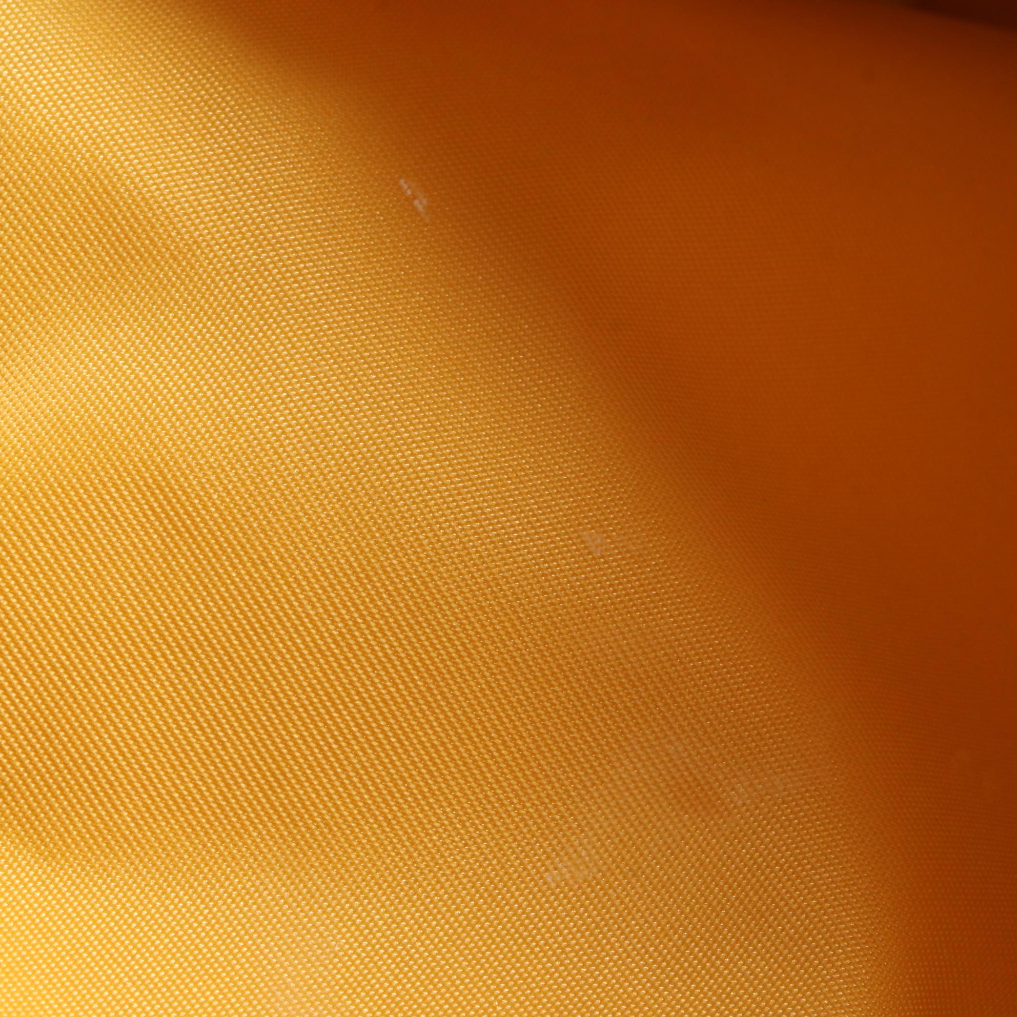 Prada Sailor Boy and More Brooch Tote in Nylon and Ostrich