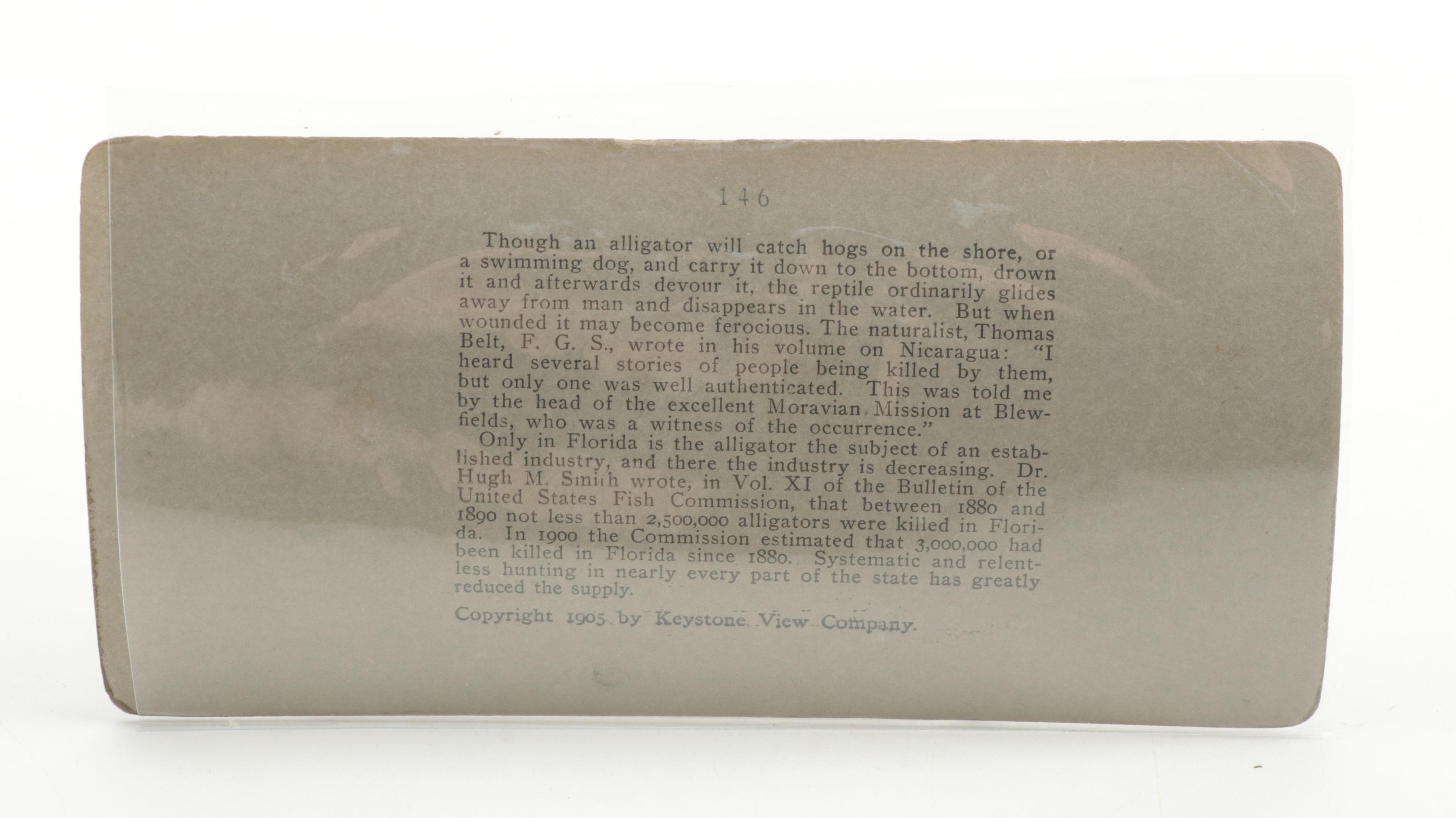 Keystone View Company and Griffith & Griffith Stereoview Cards