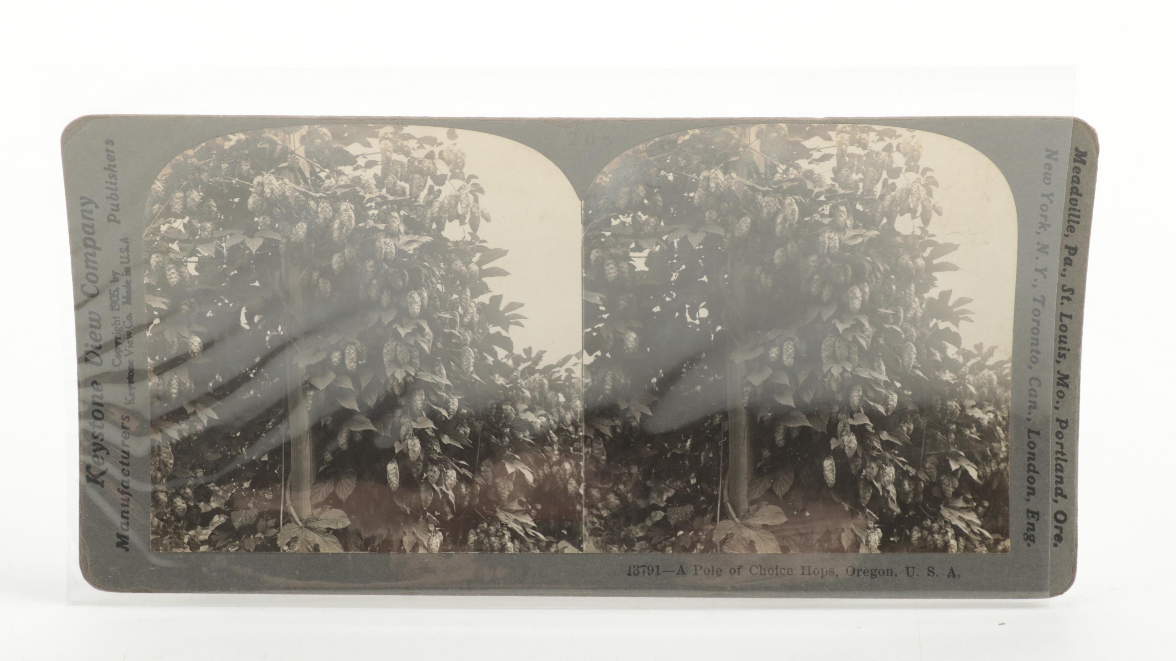 Keystone View Company and Griffith & Griffith Stereoview Cards