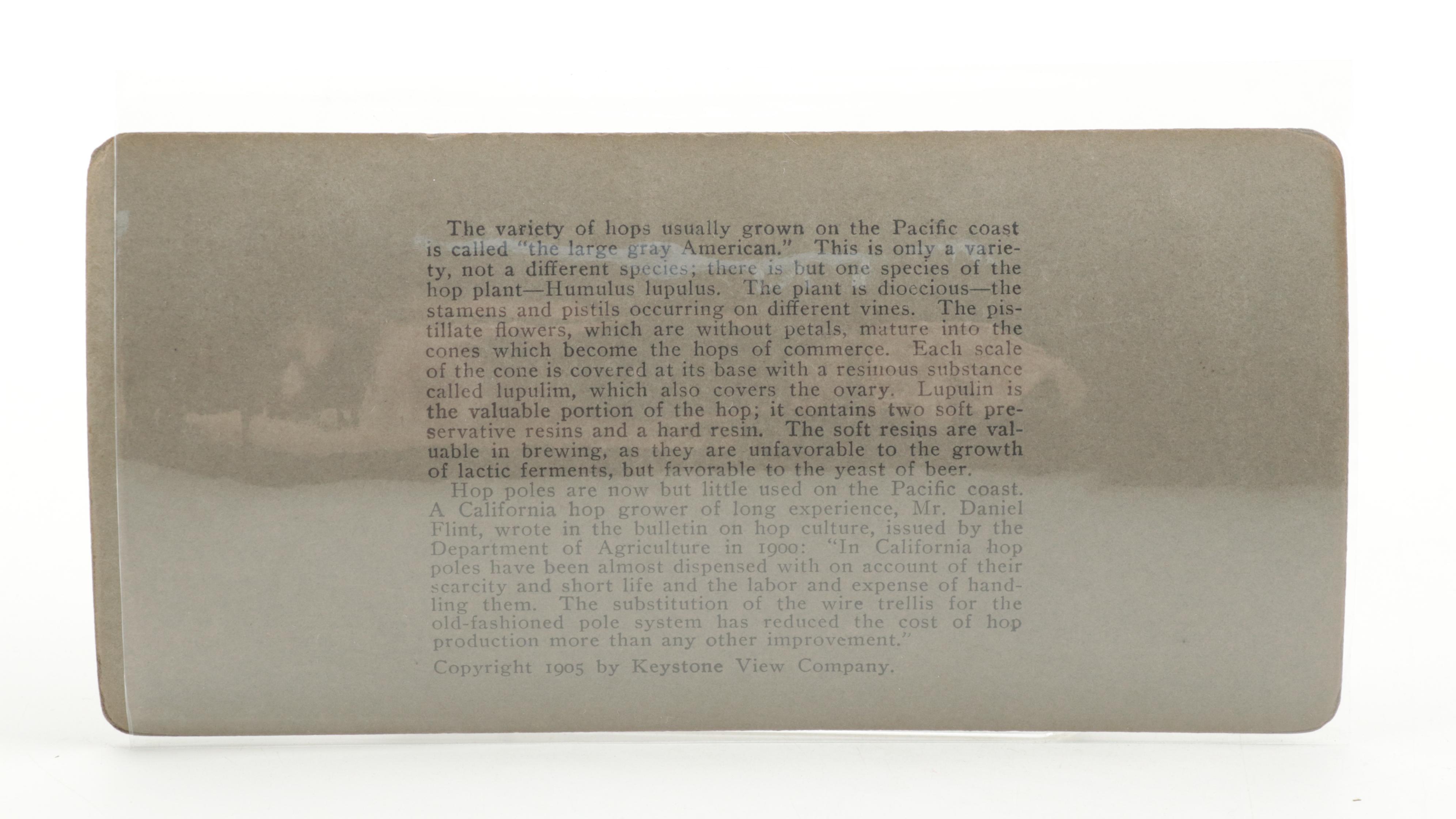 Keystone View Company and Griffith & Griffith Stereoview Cards