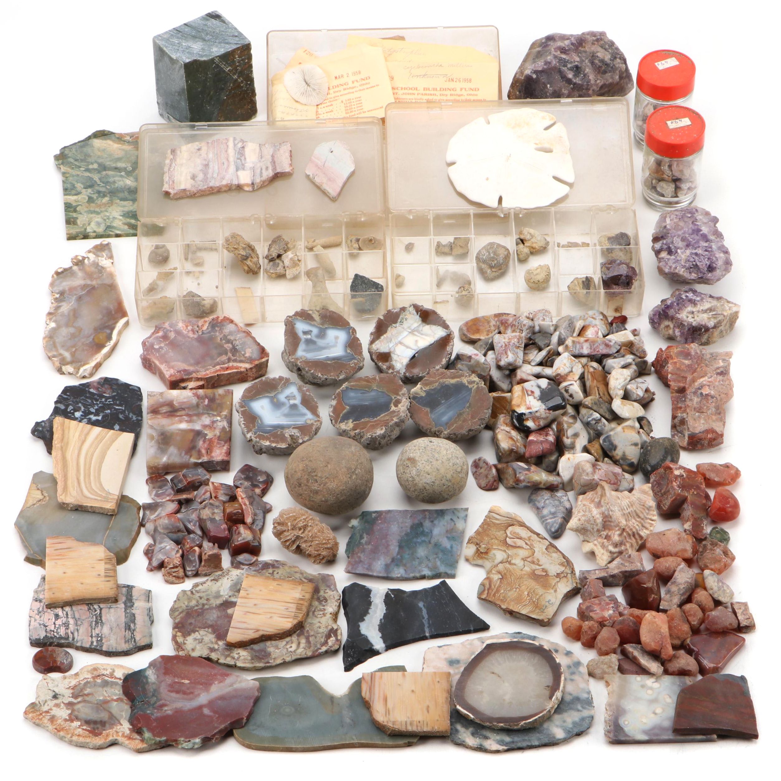 Agatized Wood, Petrified Wood, Geode, Amethyst, Quartz and Other Specimens