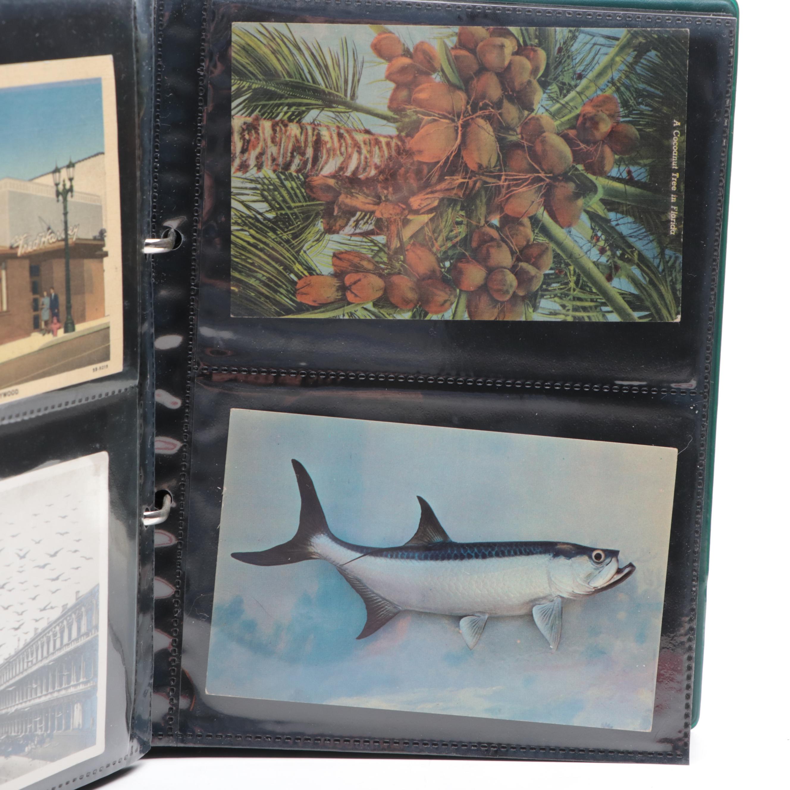 Postcard Album with Feik & Rausch, S.H. Knox & Co., and More Postcards