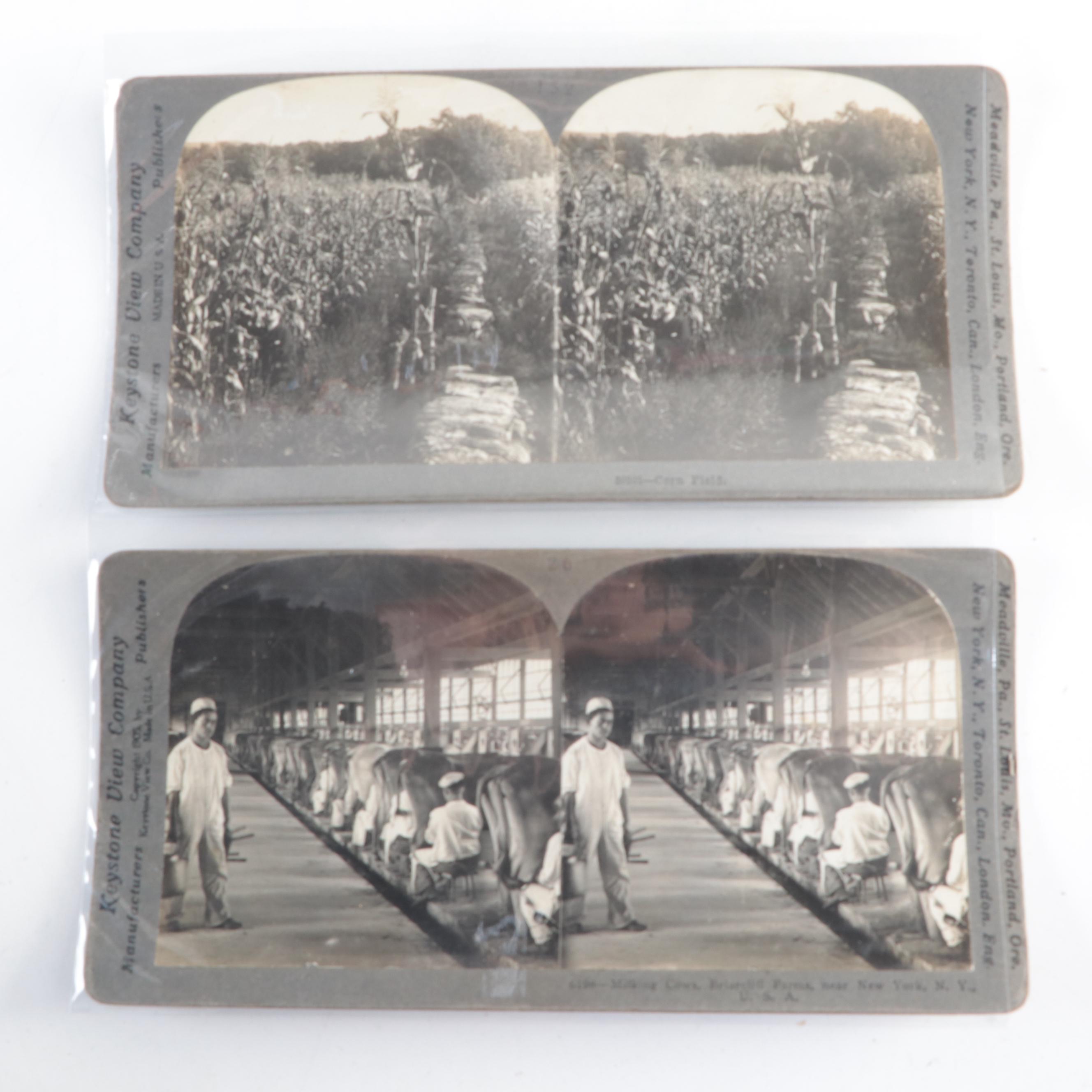 Keystone View Company, Webster & Albee and More Stereoview Cards