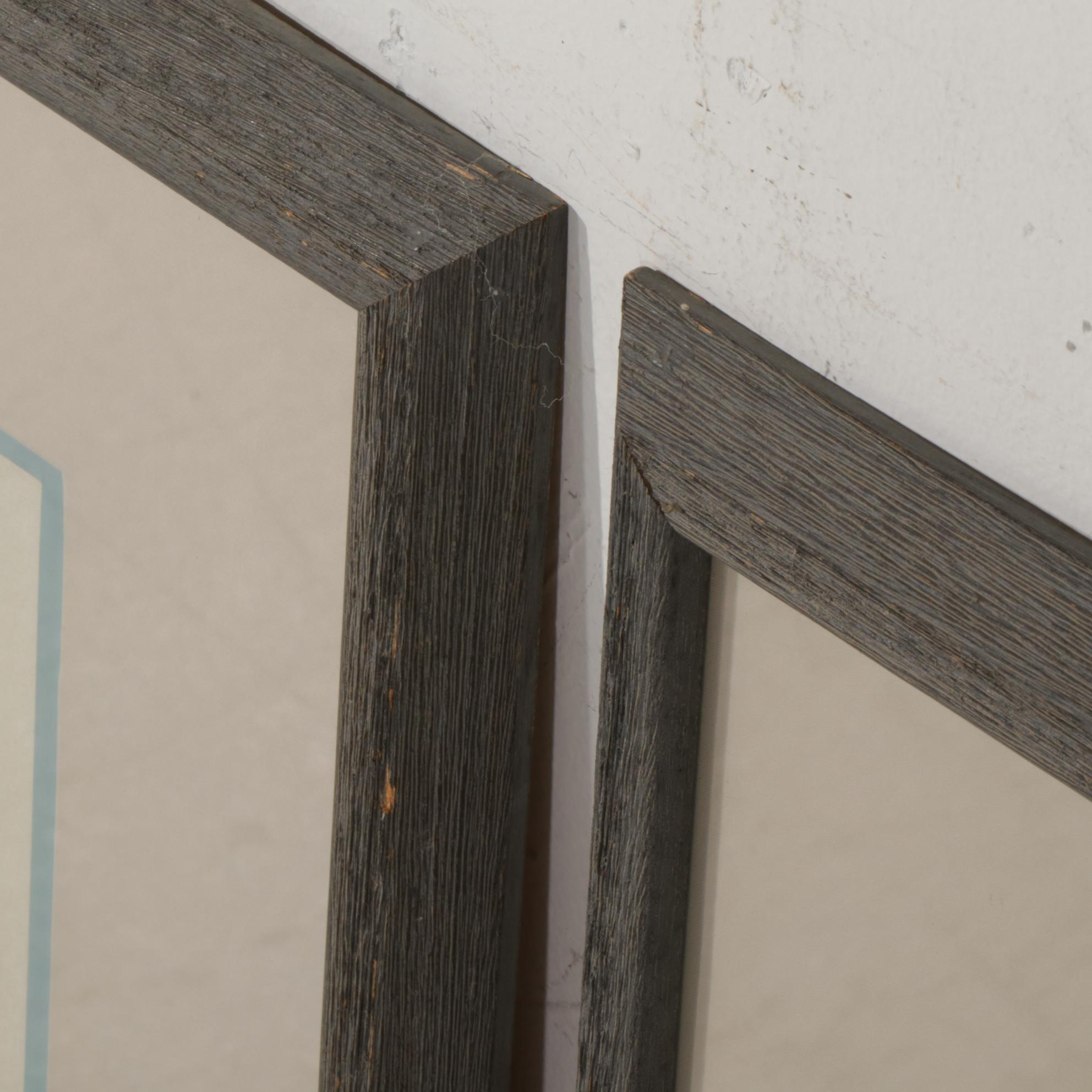 Ornithological Hand-Colored Lithographs After François-Nicolas Martinet