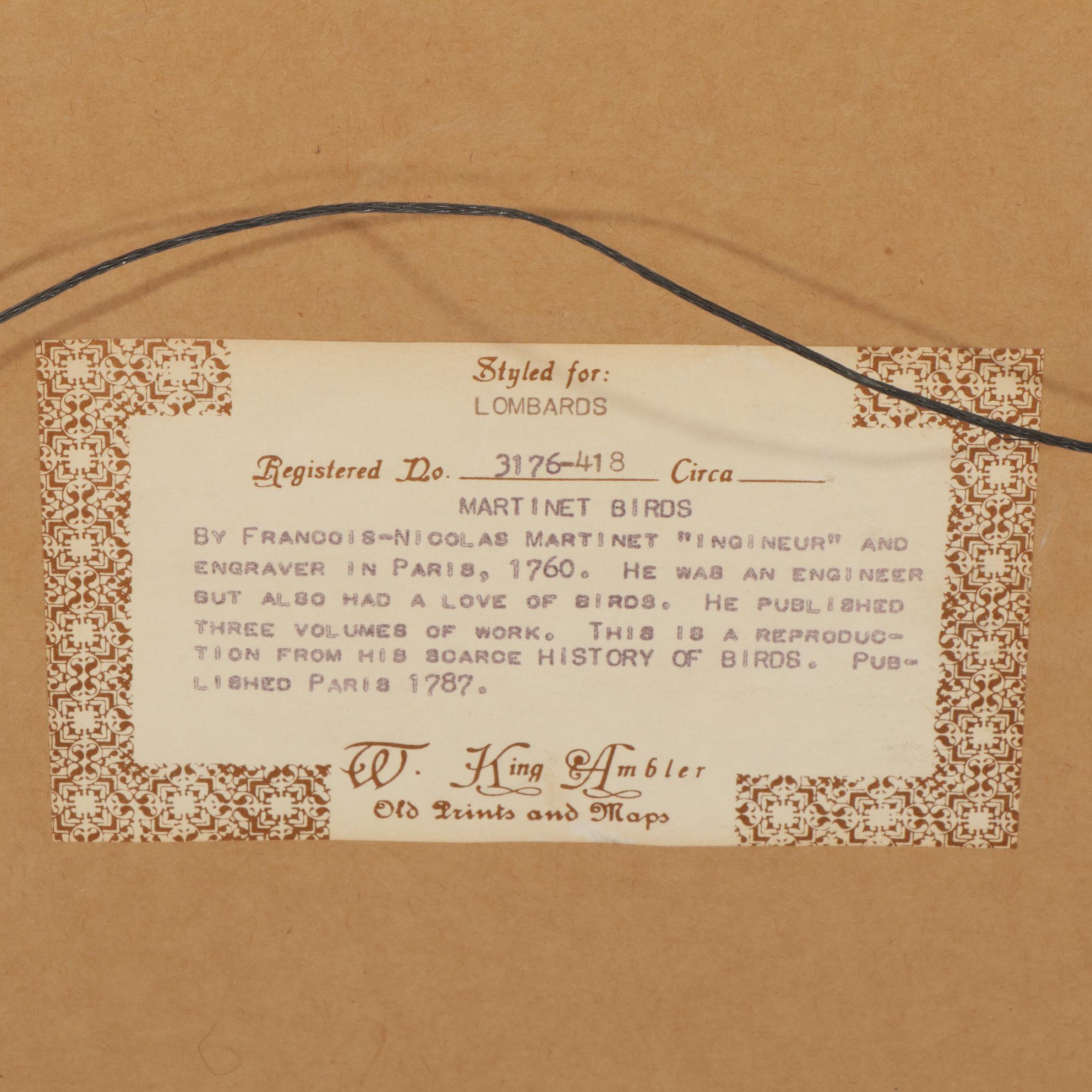 Ornithological Hand-Colored Lithographs After François-Nicolas Martinet