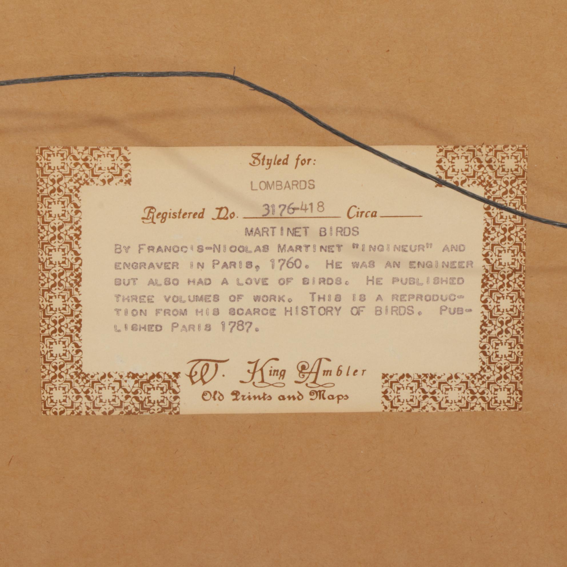 Ornithological Hand-Colored Lithographs After François-Nicolas Martinet