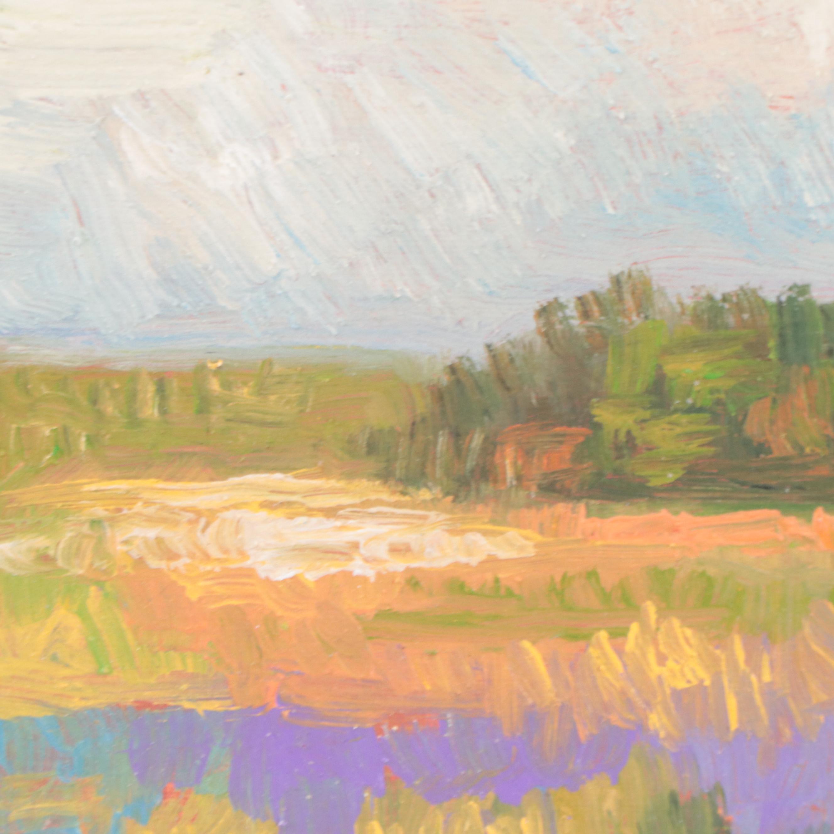 Sulmaz H. Radvand Landscape Oil Painting of Flowering Meadow, 21st Century