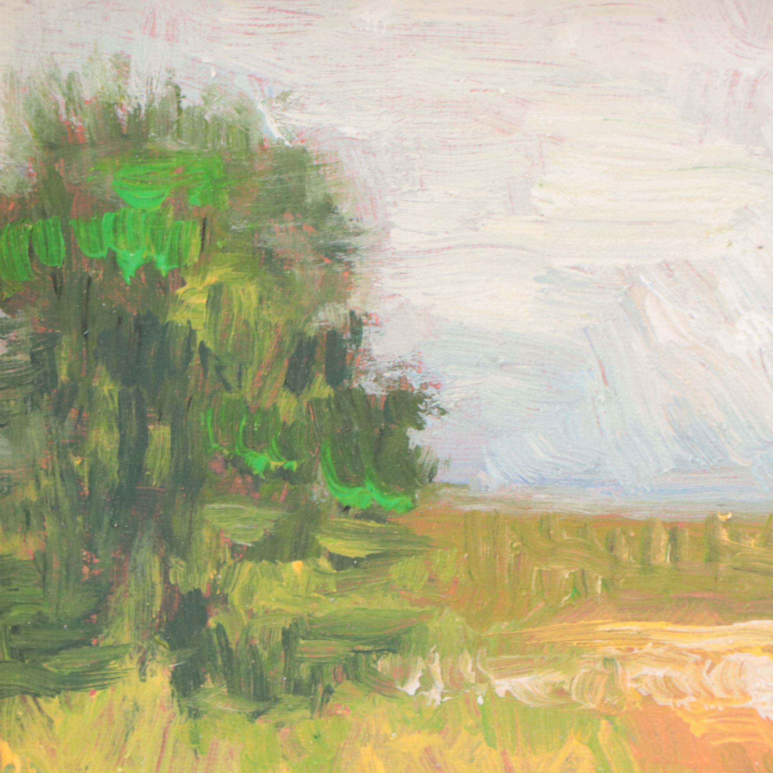 Sulmaz H. Radvand Landscape Oil Painting of Flowering Meadow, 21st Century