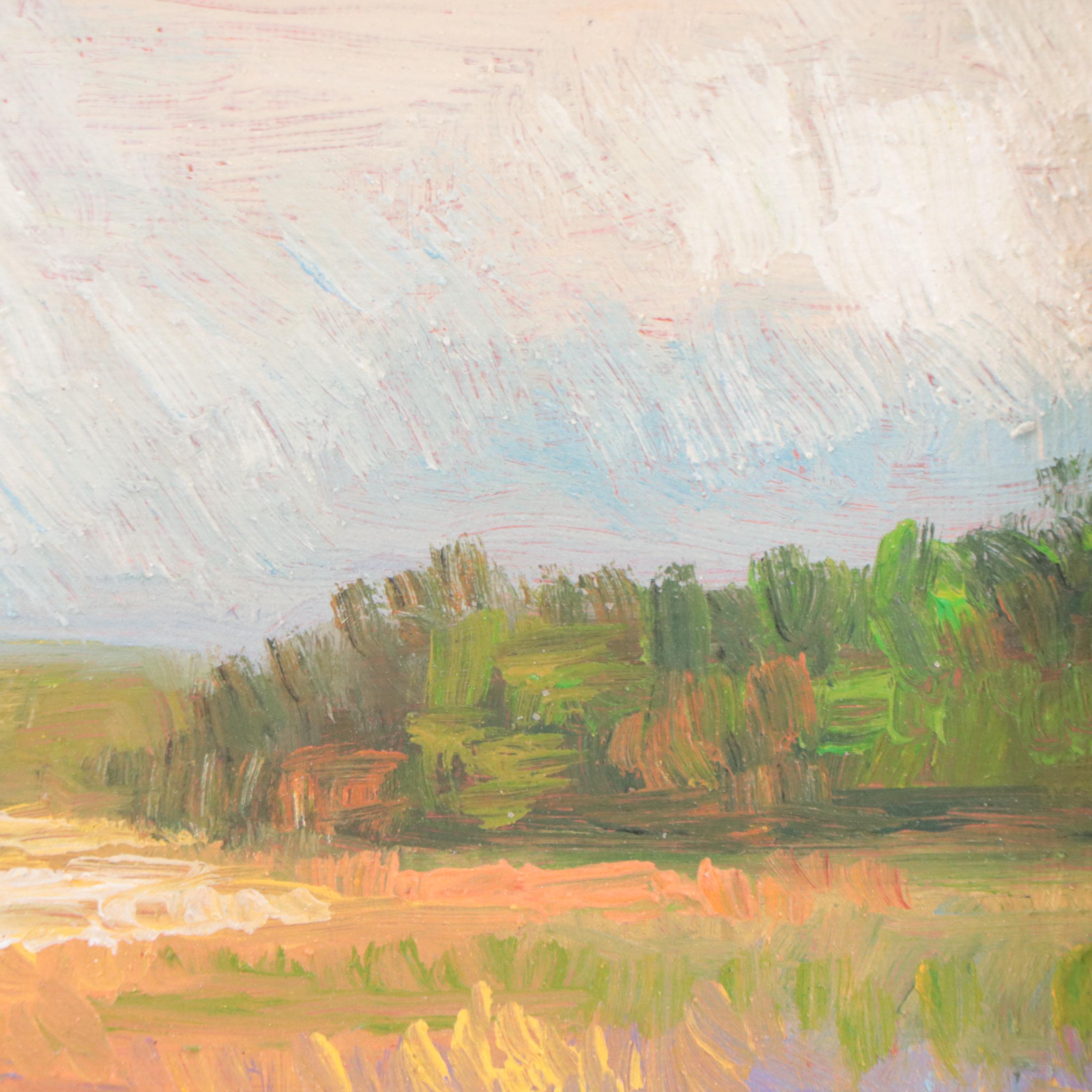 Sulmaz H. Radvand Landscape Oil Painting of Flowering Meadow, 21st Century