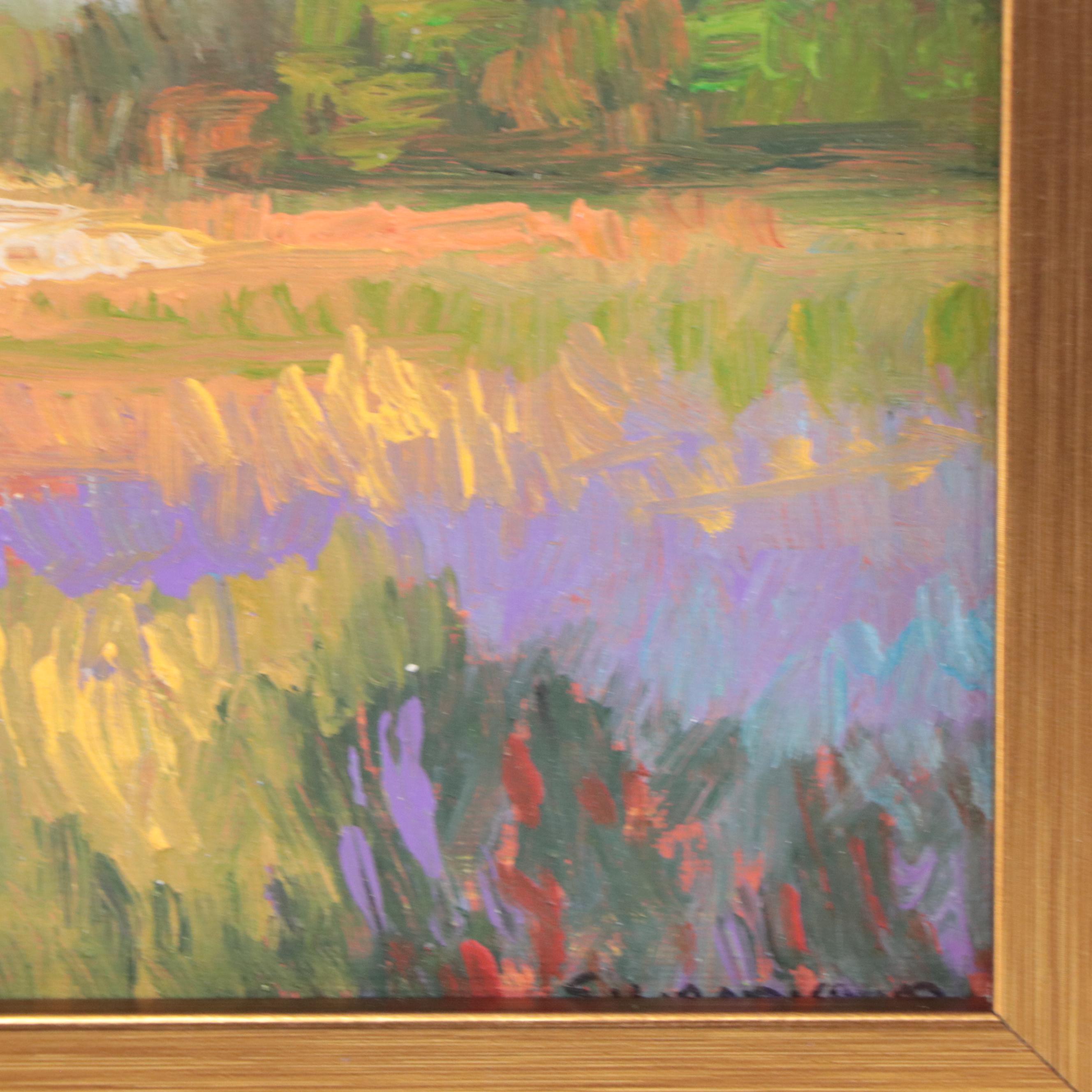 Sulmaz H. Radvand Landscape Oil Painting of Flowering Meadow, 21st Century