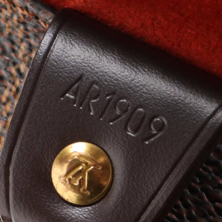 Louis Vuitton Parioli PM Tote in Damier Ebene Canvas and Brown Leather Trim