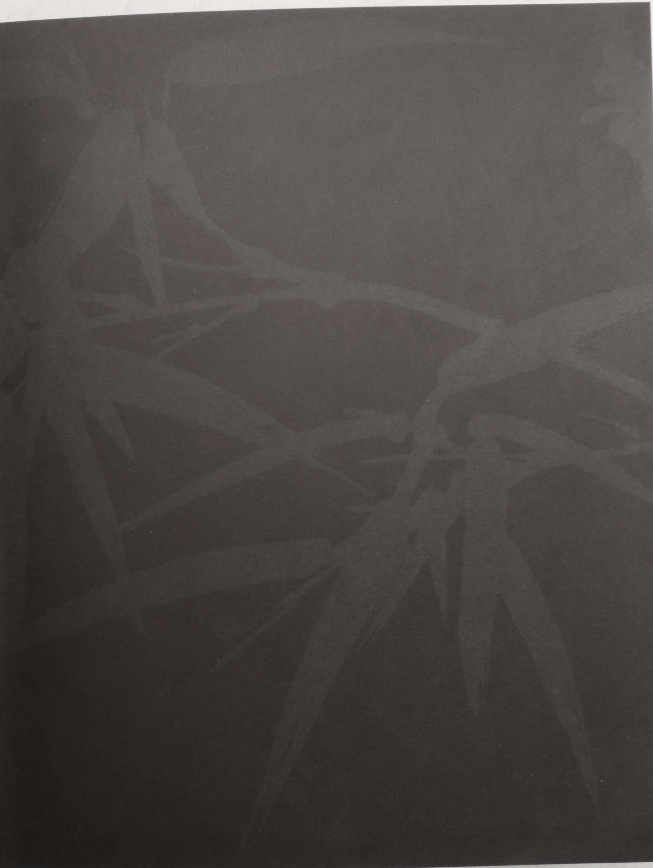 "Spectacular China" by Nigel Cameron and More Chinese Art and History Books