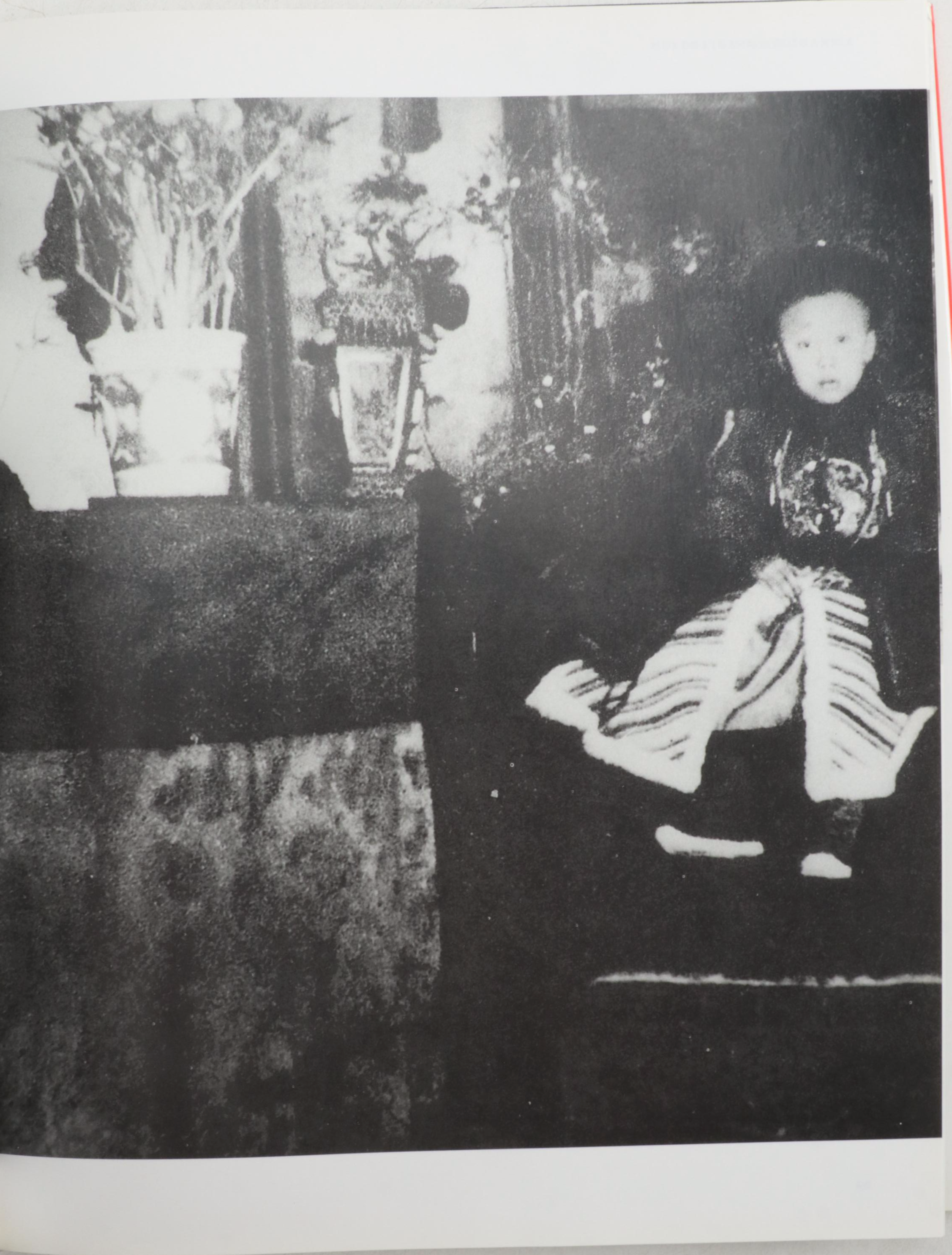 "Spectacular China" by Nigel Cameron and More Chinese Art and History Books